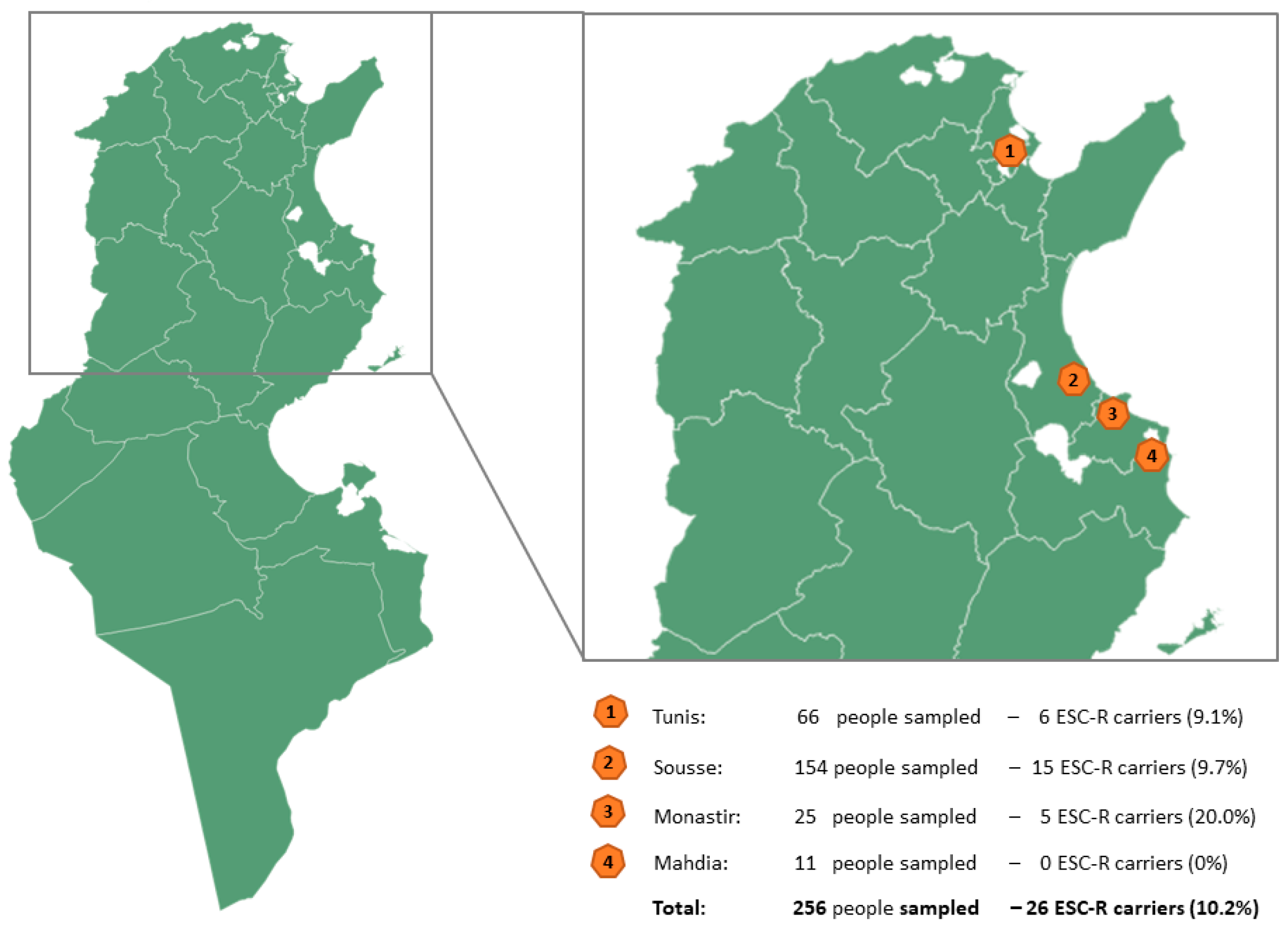 Pathogens 13 00624 g001 Pathogens 13 00624 g001