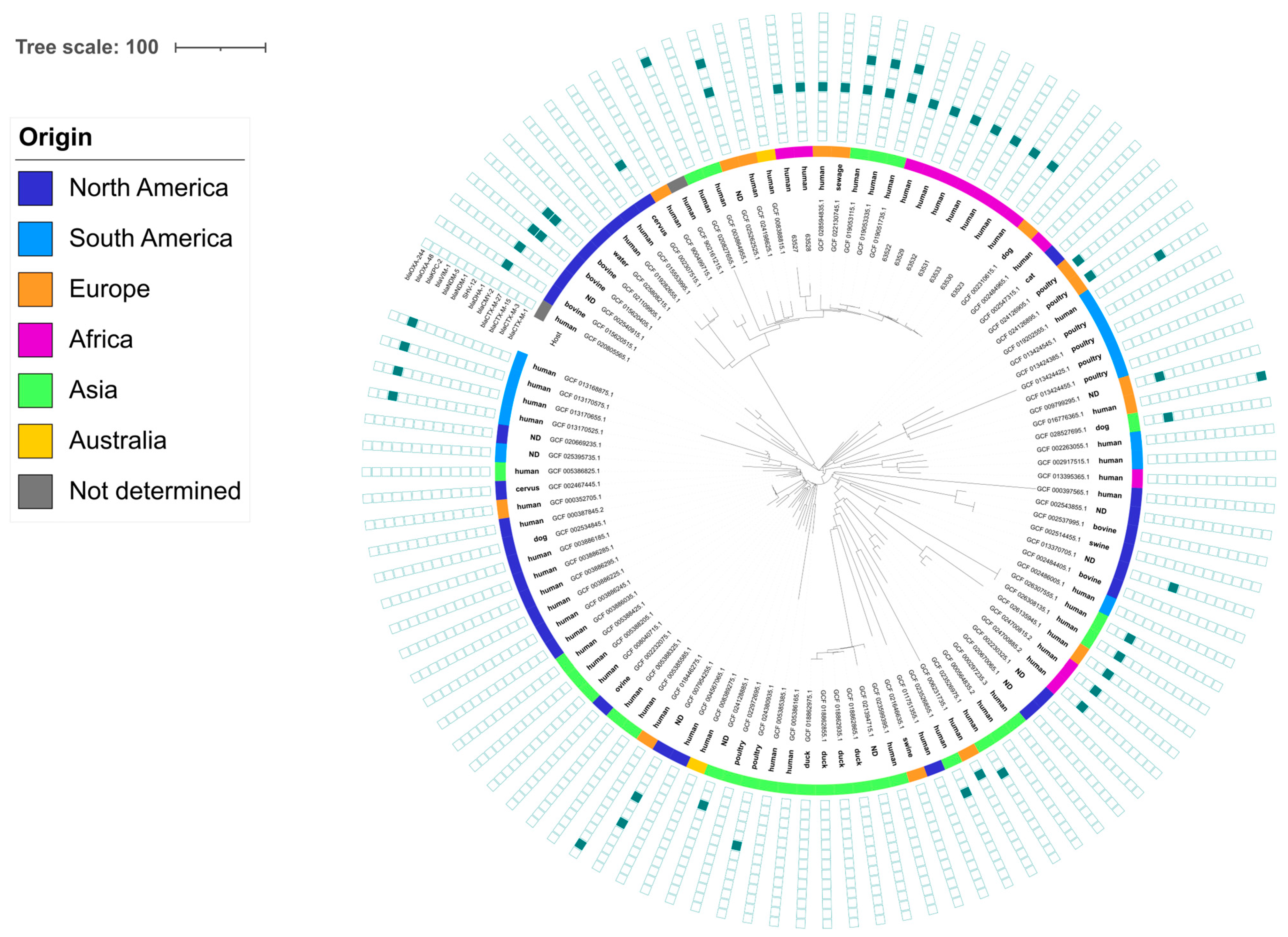 Pathogens 13 00624 g003 Pathogens 13 00624 g003