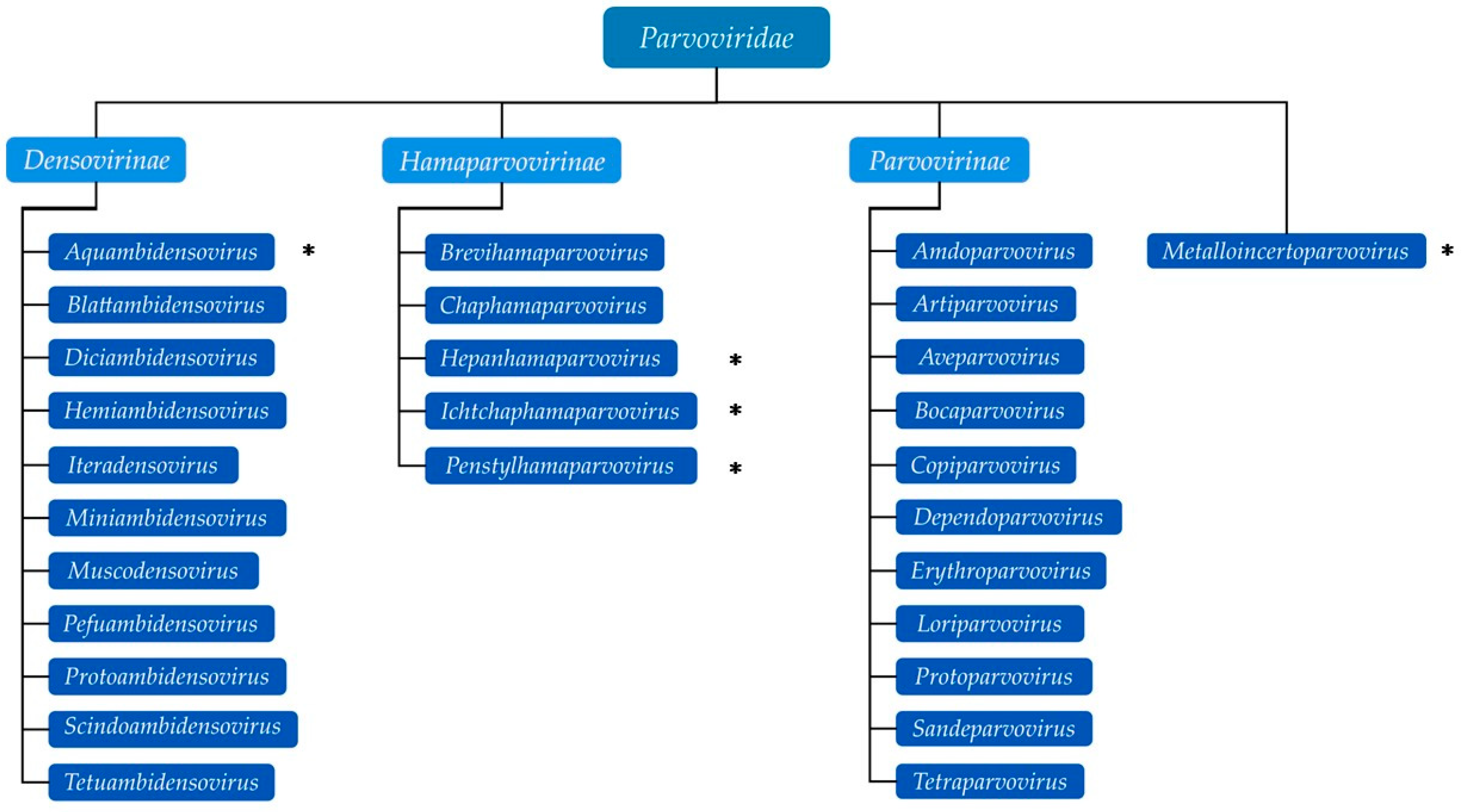 Pathogens 13 00625 g002 Pathogens 13 00625 g002
