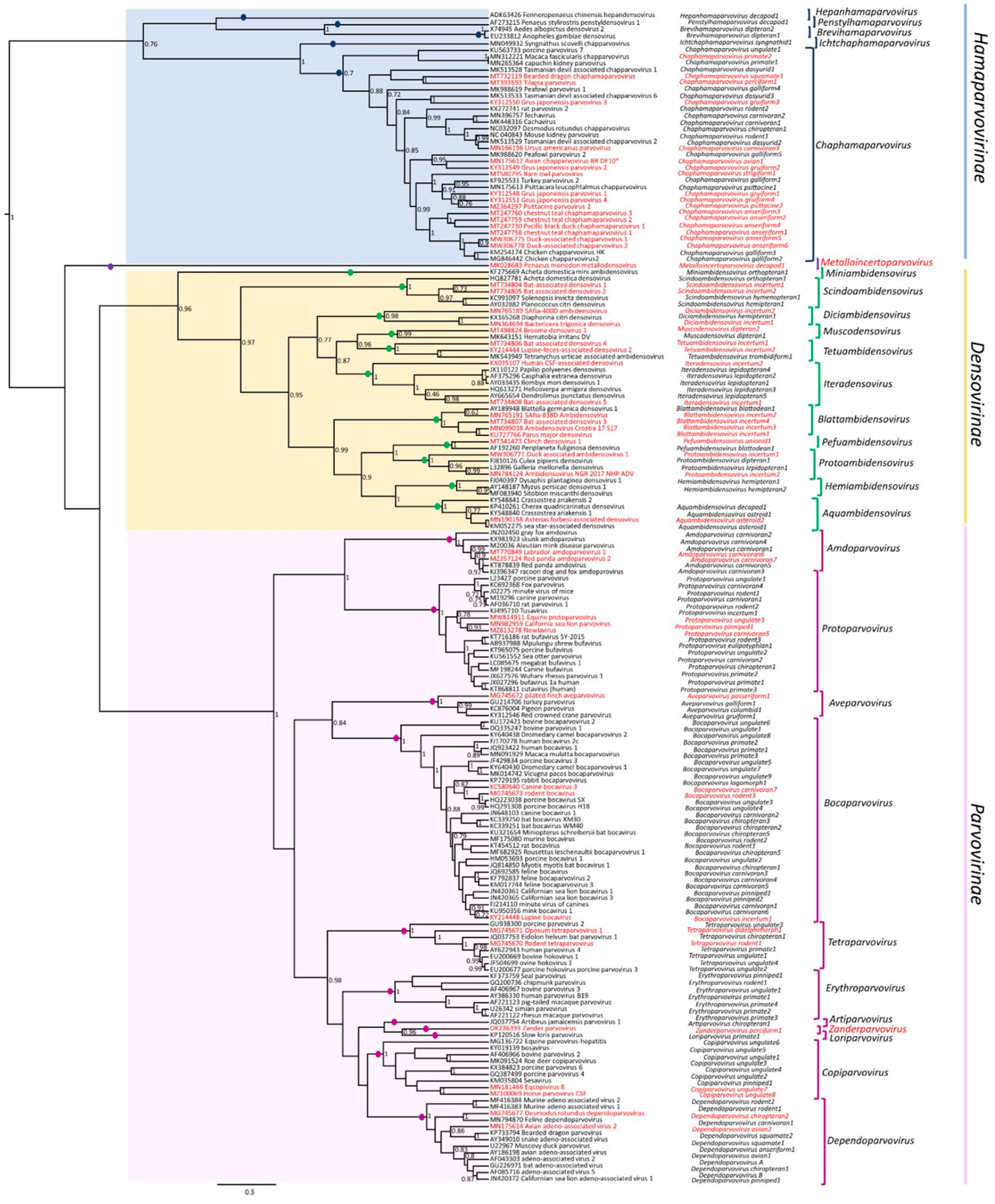 Pathogens 13 00625 g003 Pathogens 13 00625 g003