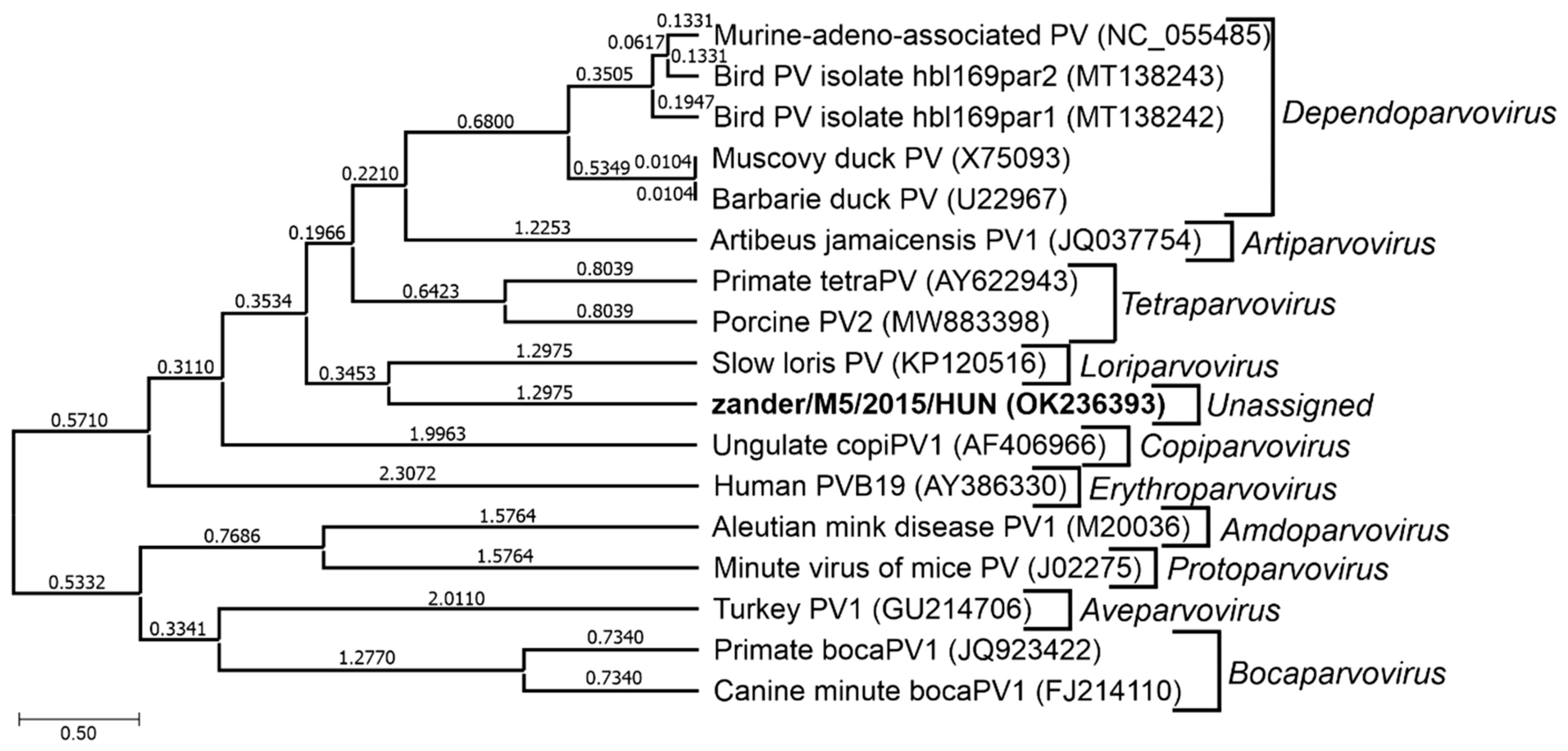 Pathogens 13 00625 g010 Pathogens 13 00625 g010