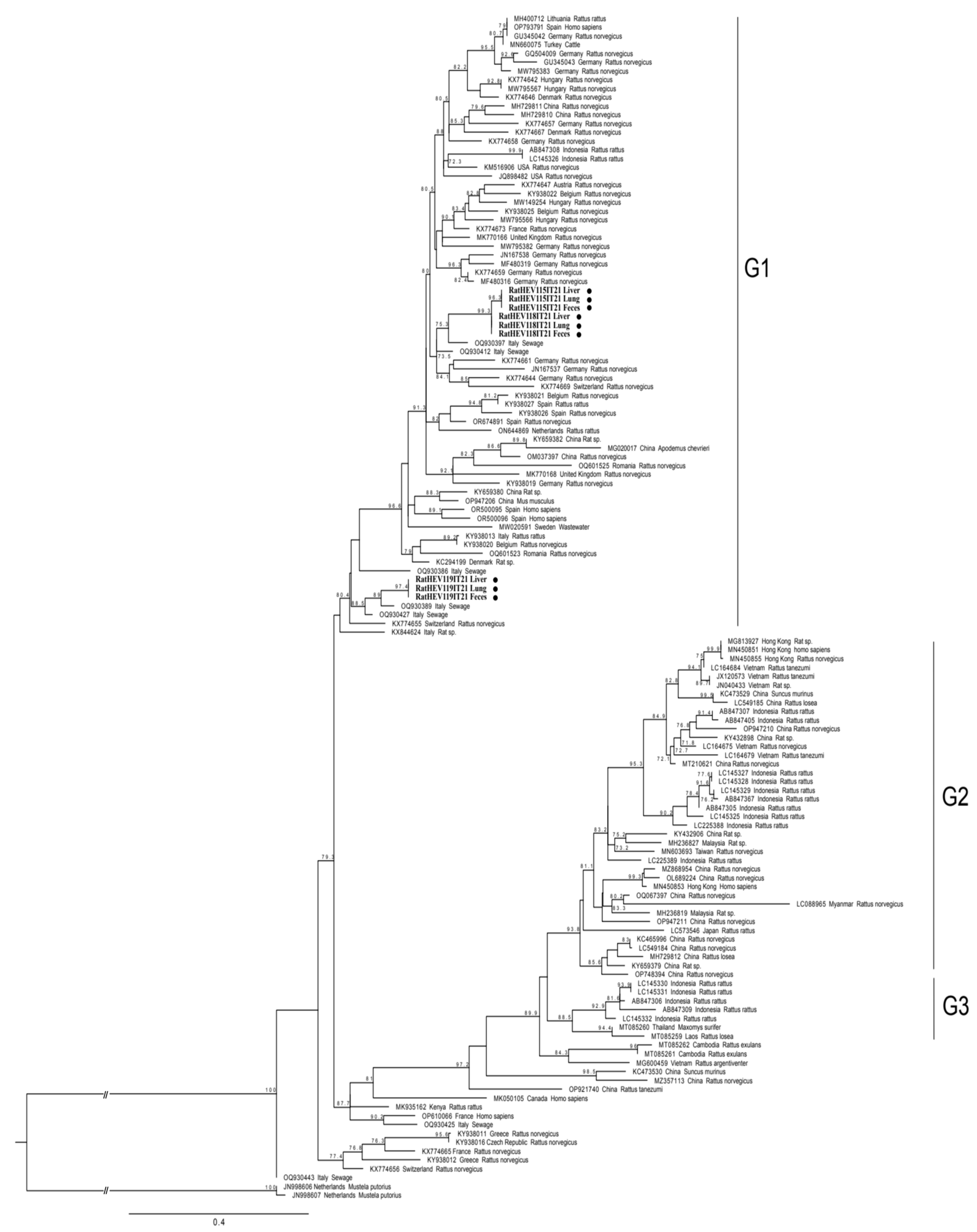 Pathogens 13 00633 g001