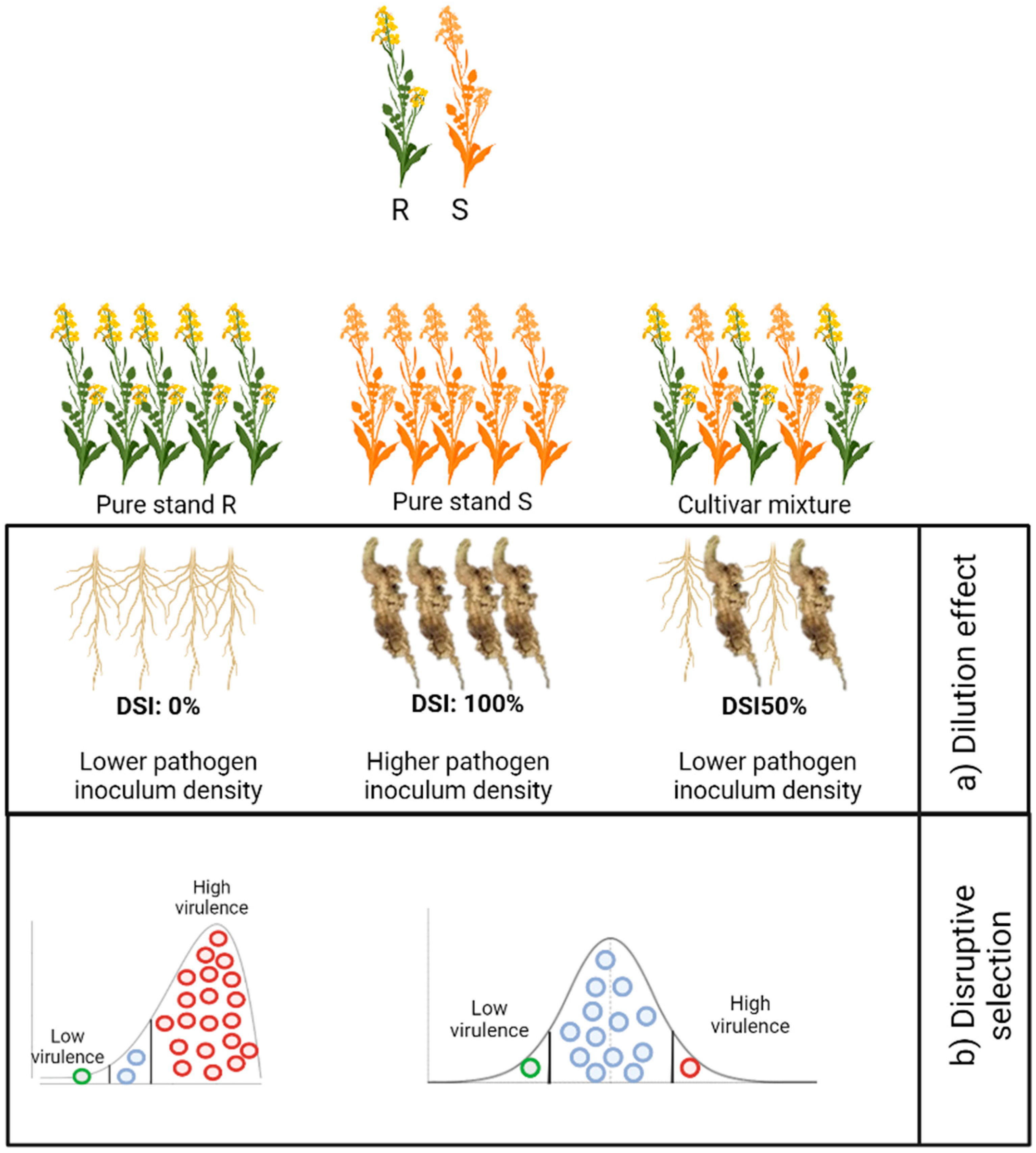 Pathogens 13 00640 g001