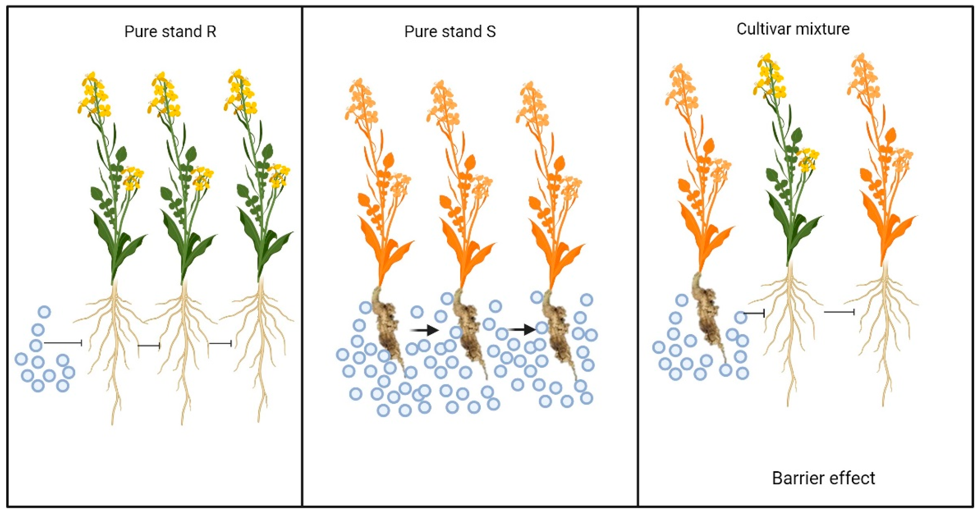 Pathogens 13 00640 g002