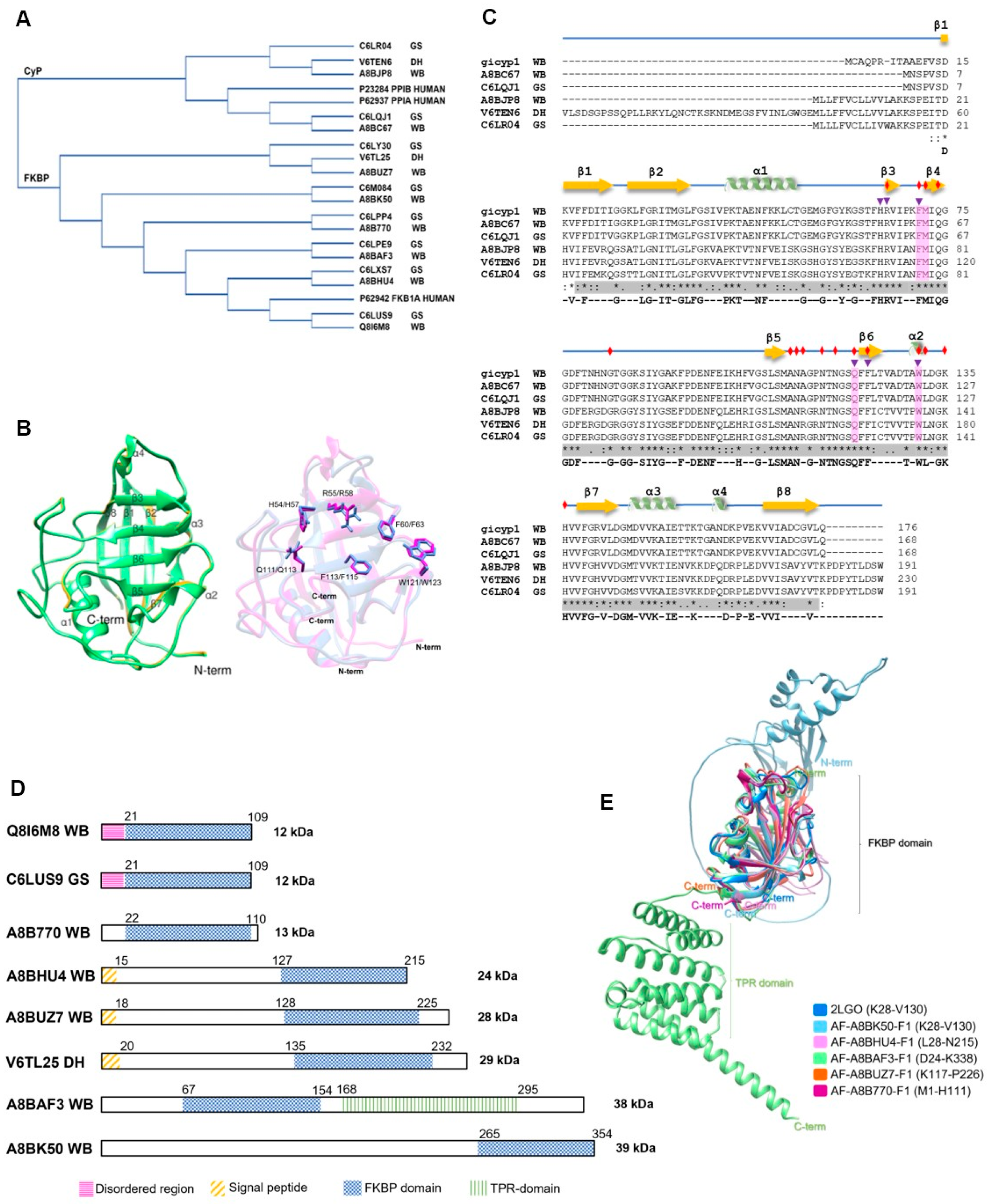 Pathogens 13 00644 g003 Pathogens 13 00644 g003