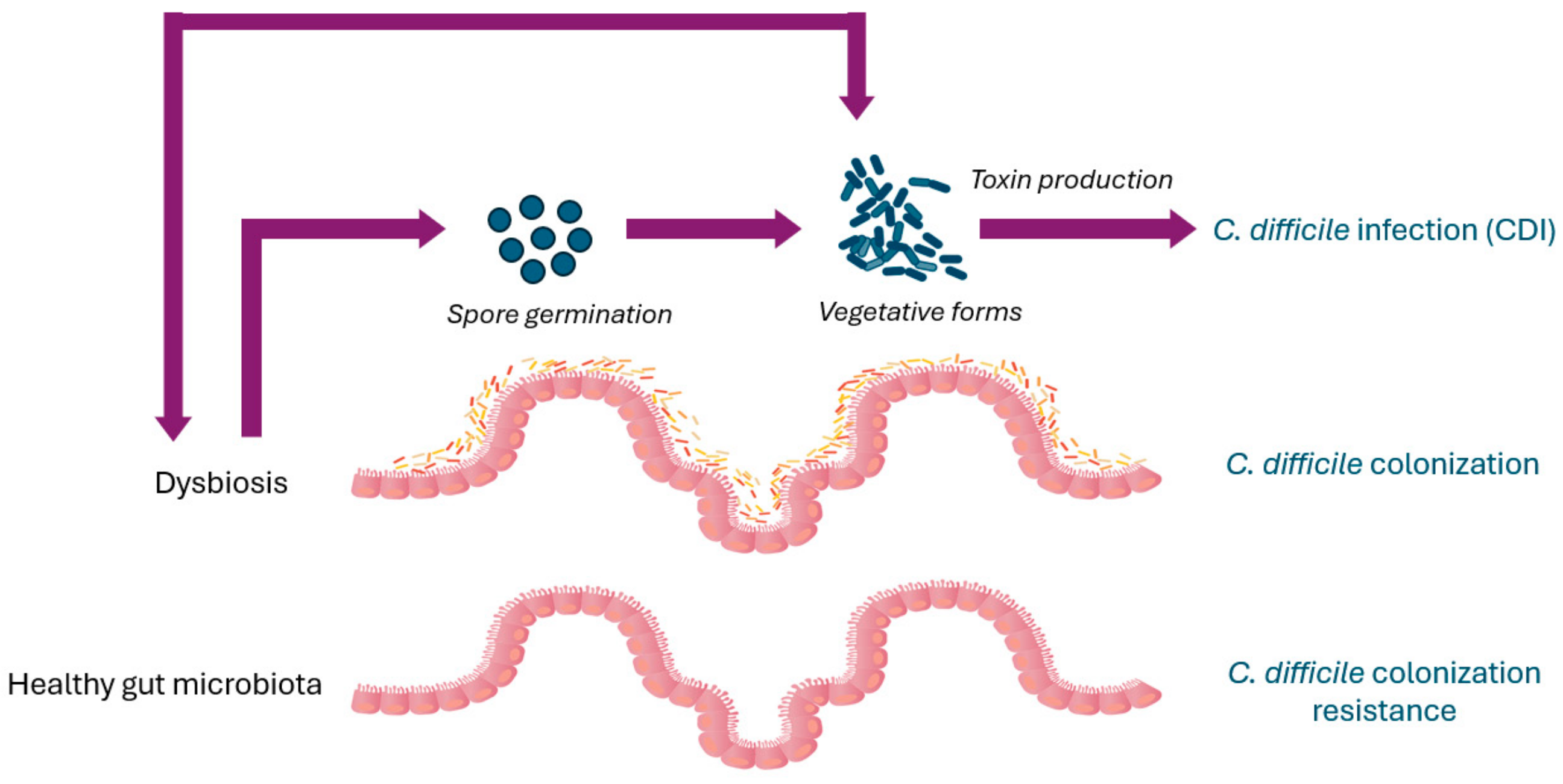 Pathogens 13 00646 g001 Pathogens 13 00646 g001