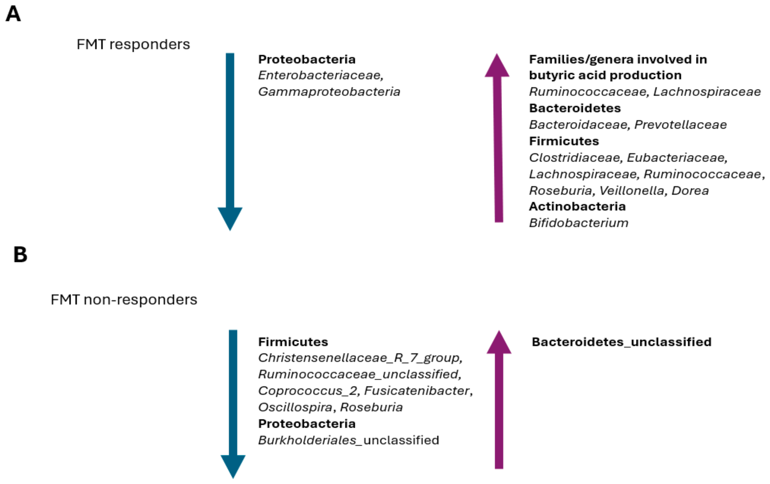 Pathogens 13 00646 g004 Pathogens 13 00646 g004