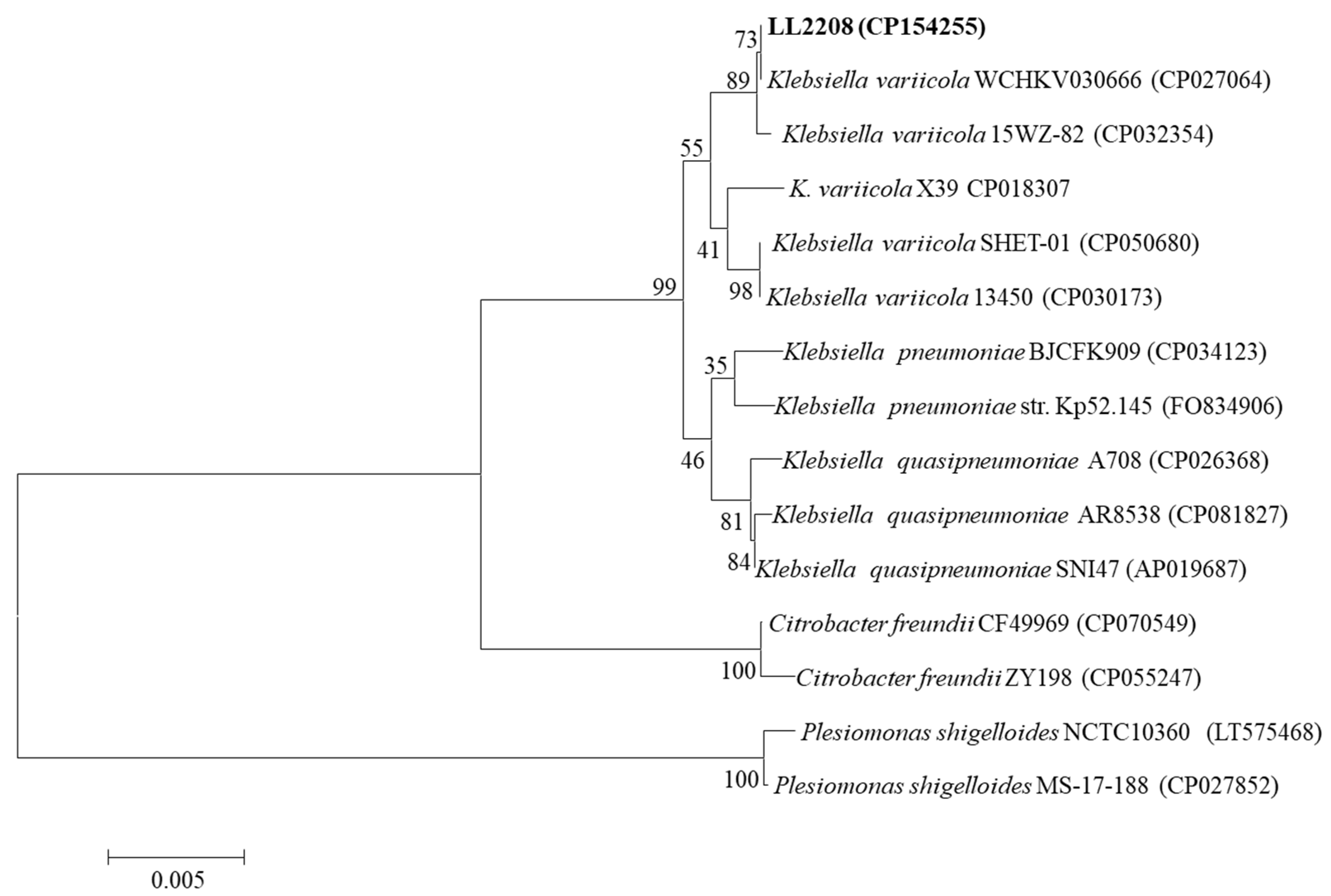 Pathogens 13 00647 g003 Pathogens 13 00647 g003