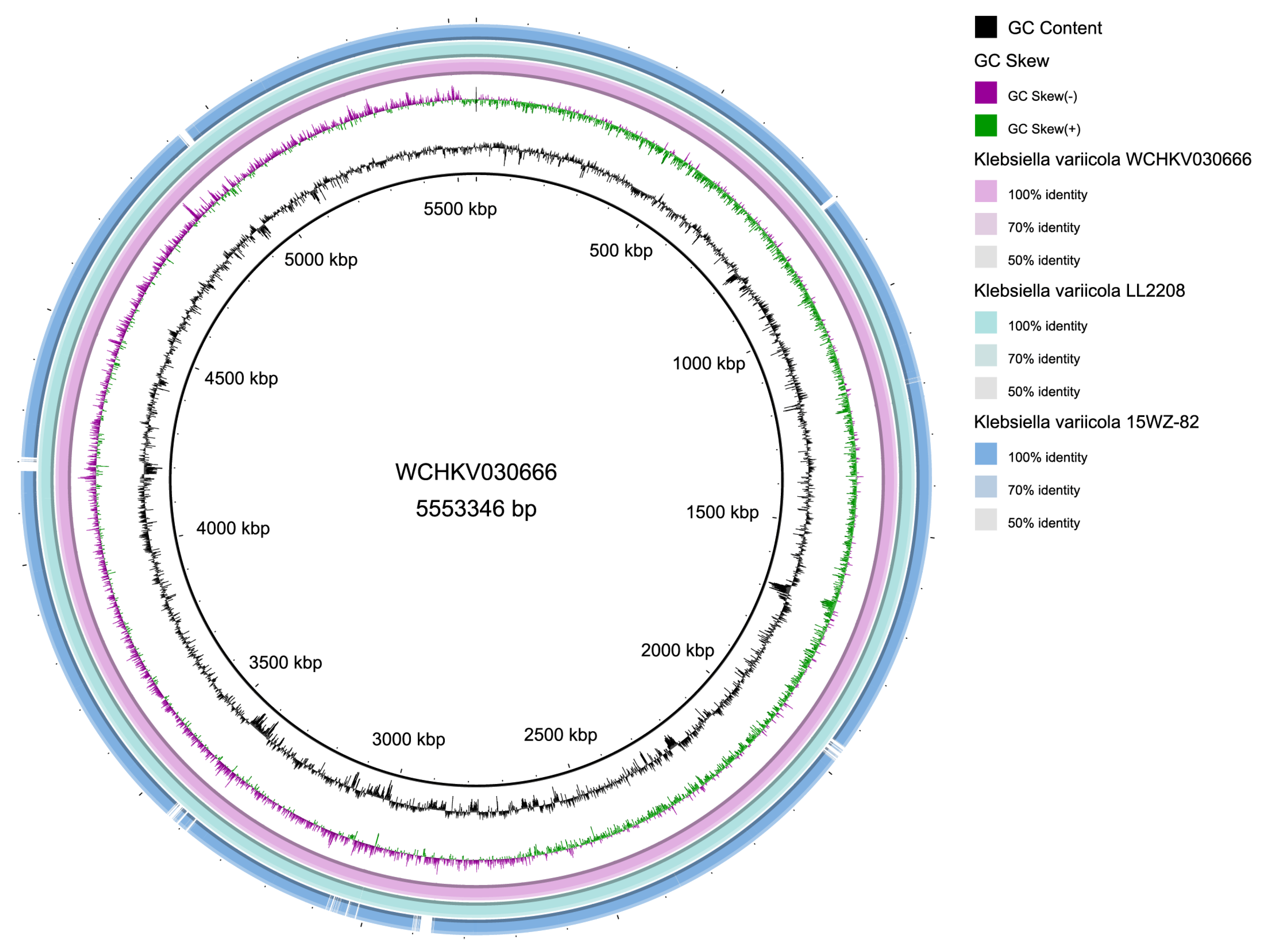 Pathogens 13 00647 g005 Pathogens 13 00647 g005