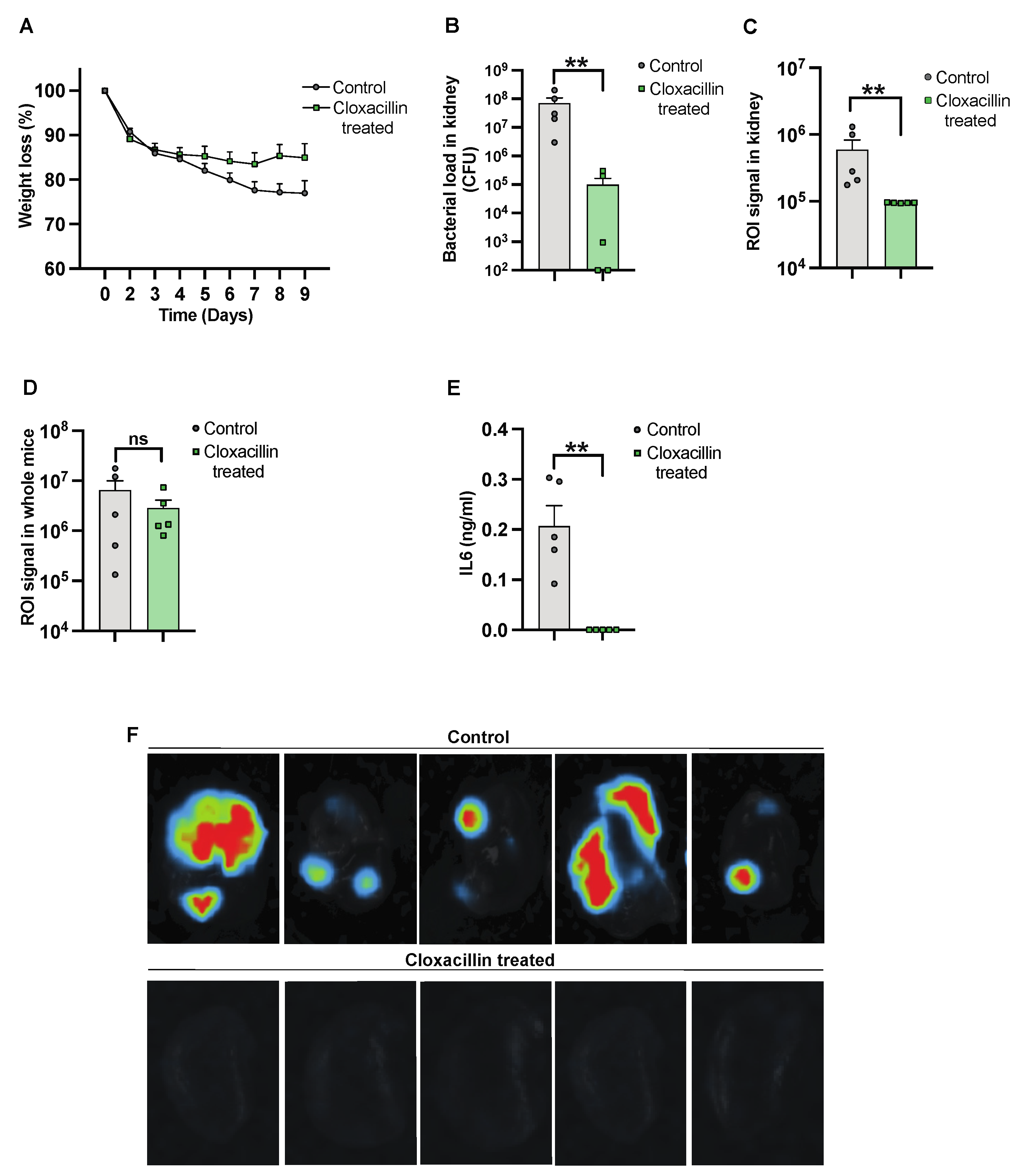 Pathogens 13 00652 g003