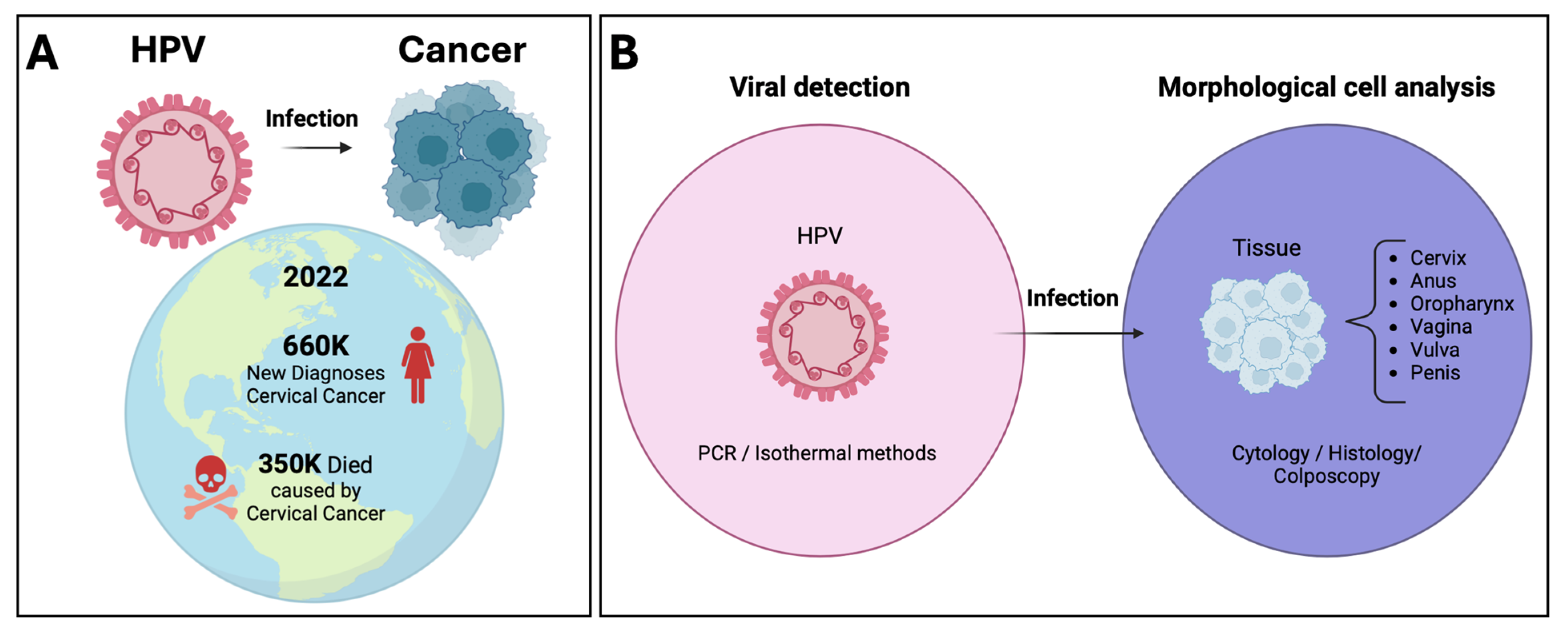 Pathogens 13 00653 g001