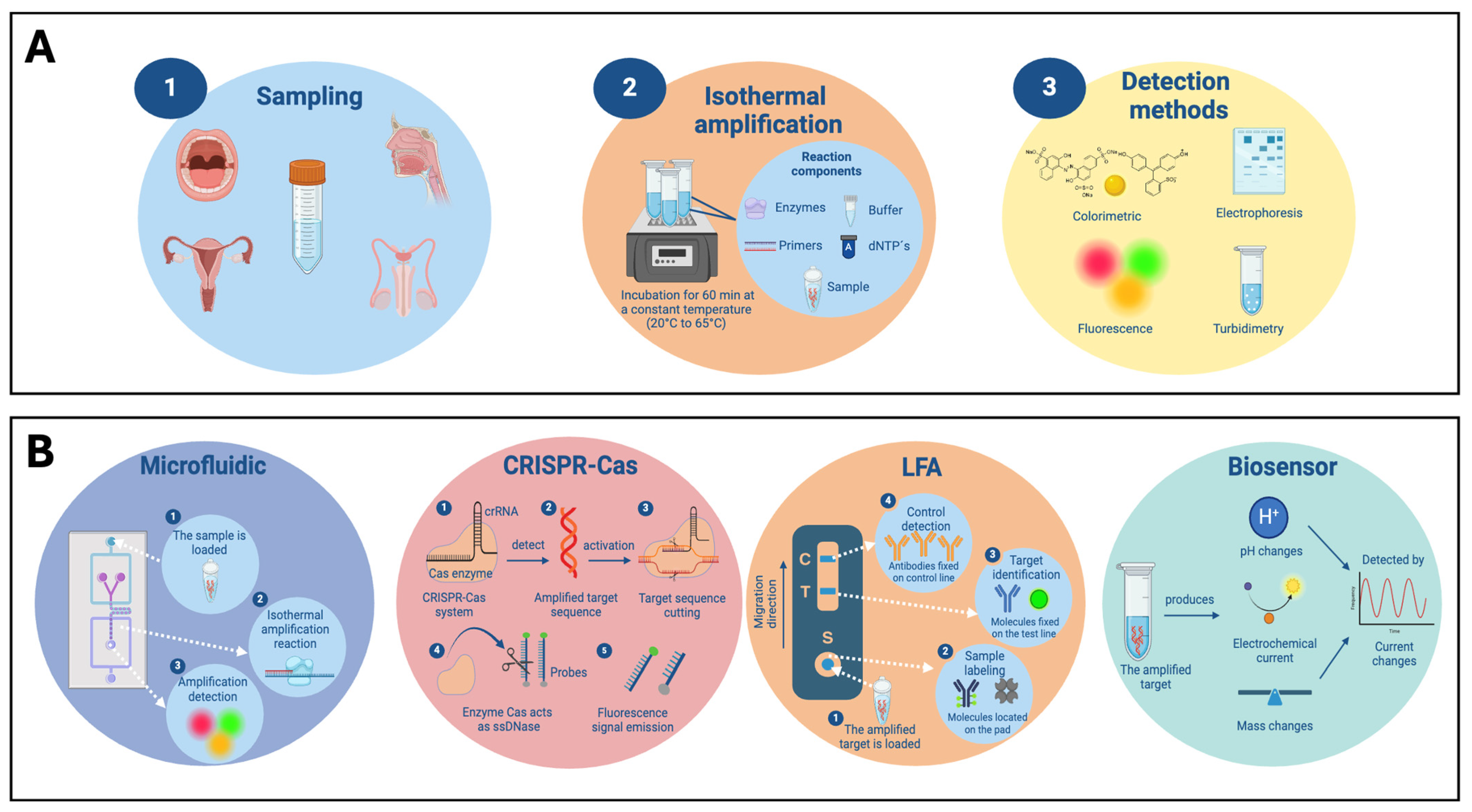 Pathogens 13 00653 g004