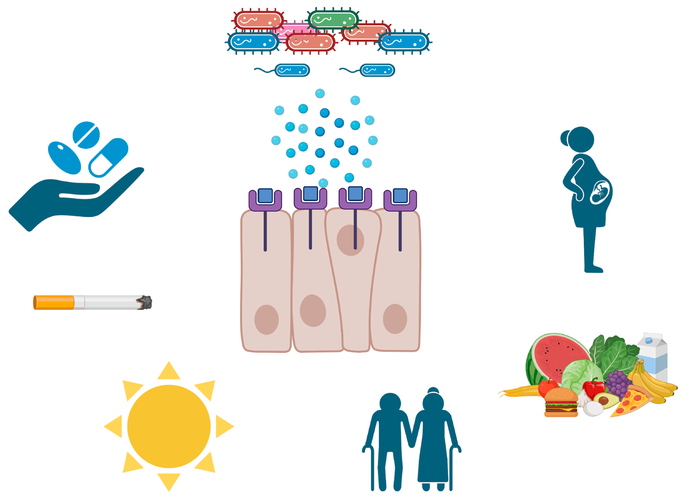 Pathogens 13 00654 g001