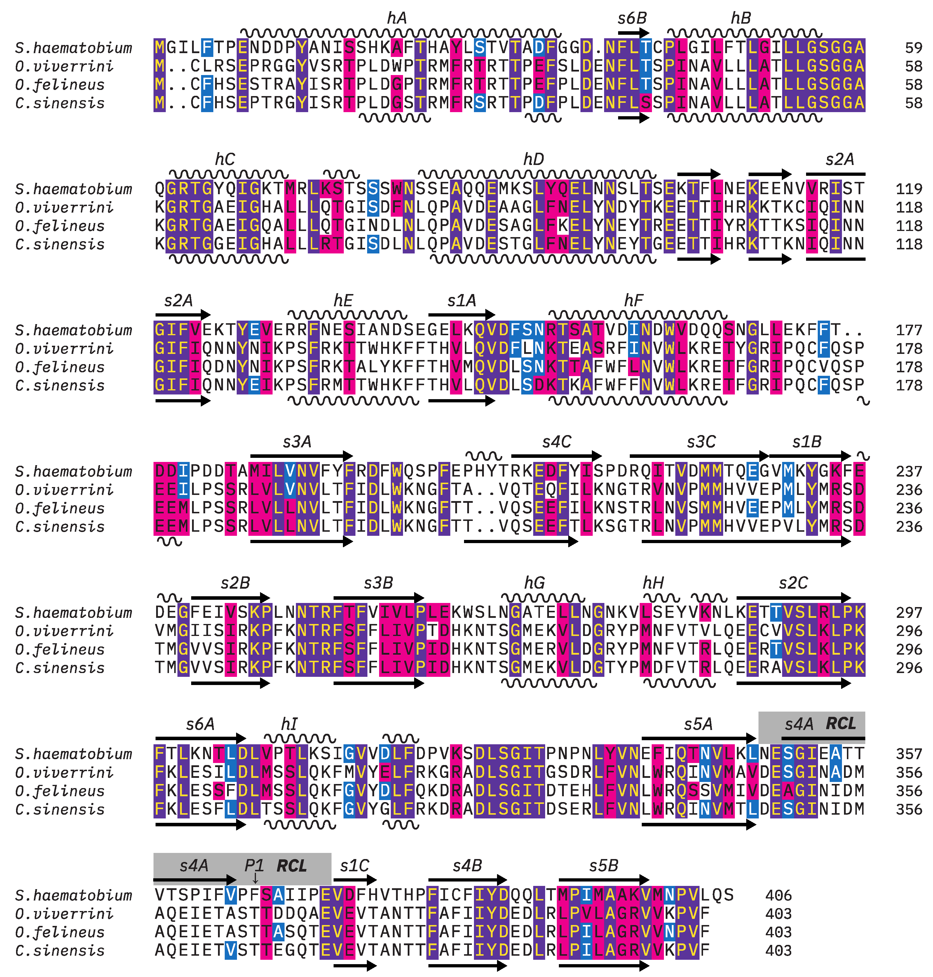 Pathogens 13 00678 g001