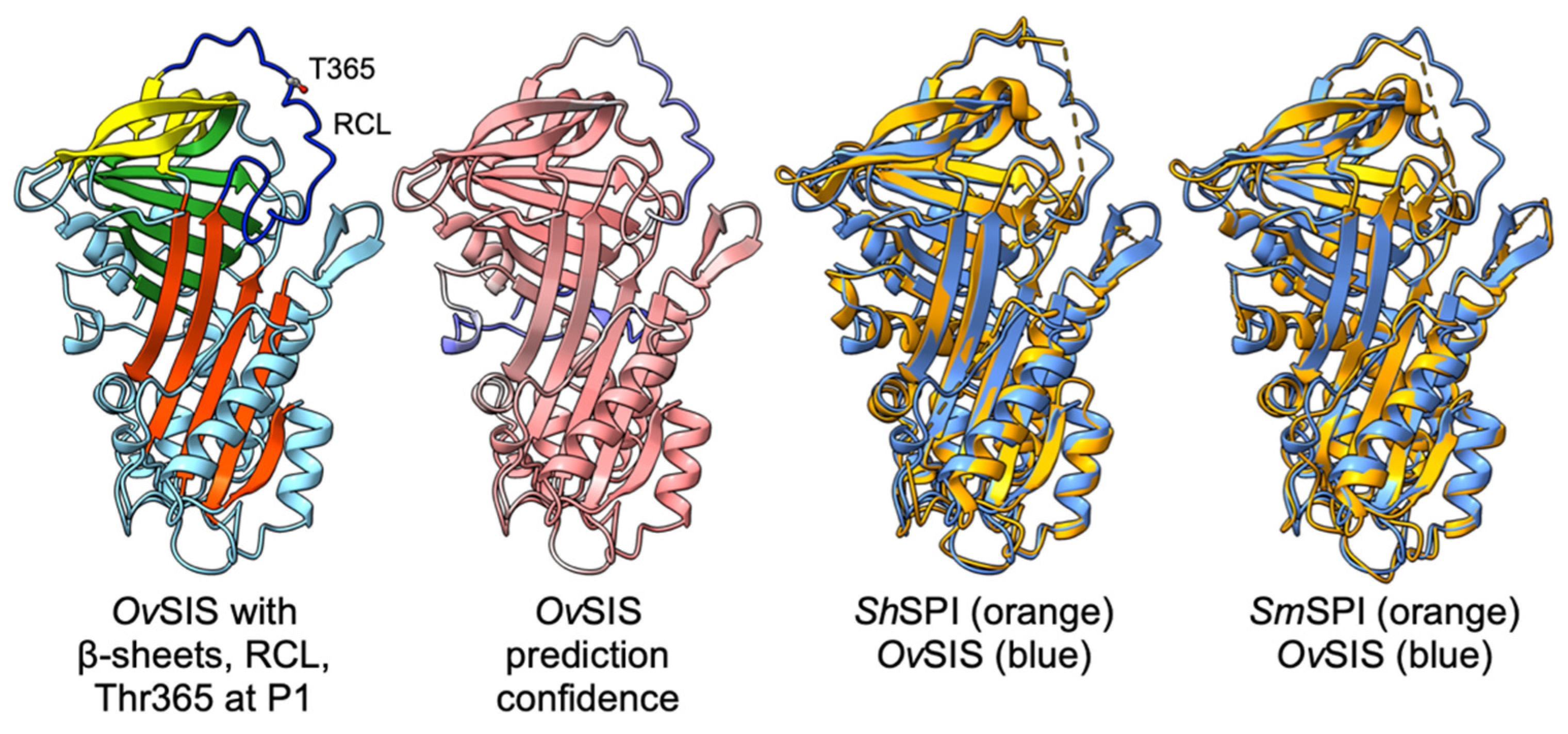 Pathogens 13 00678 g002
