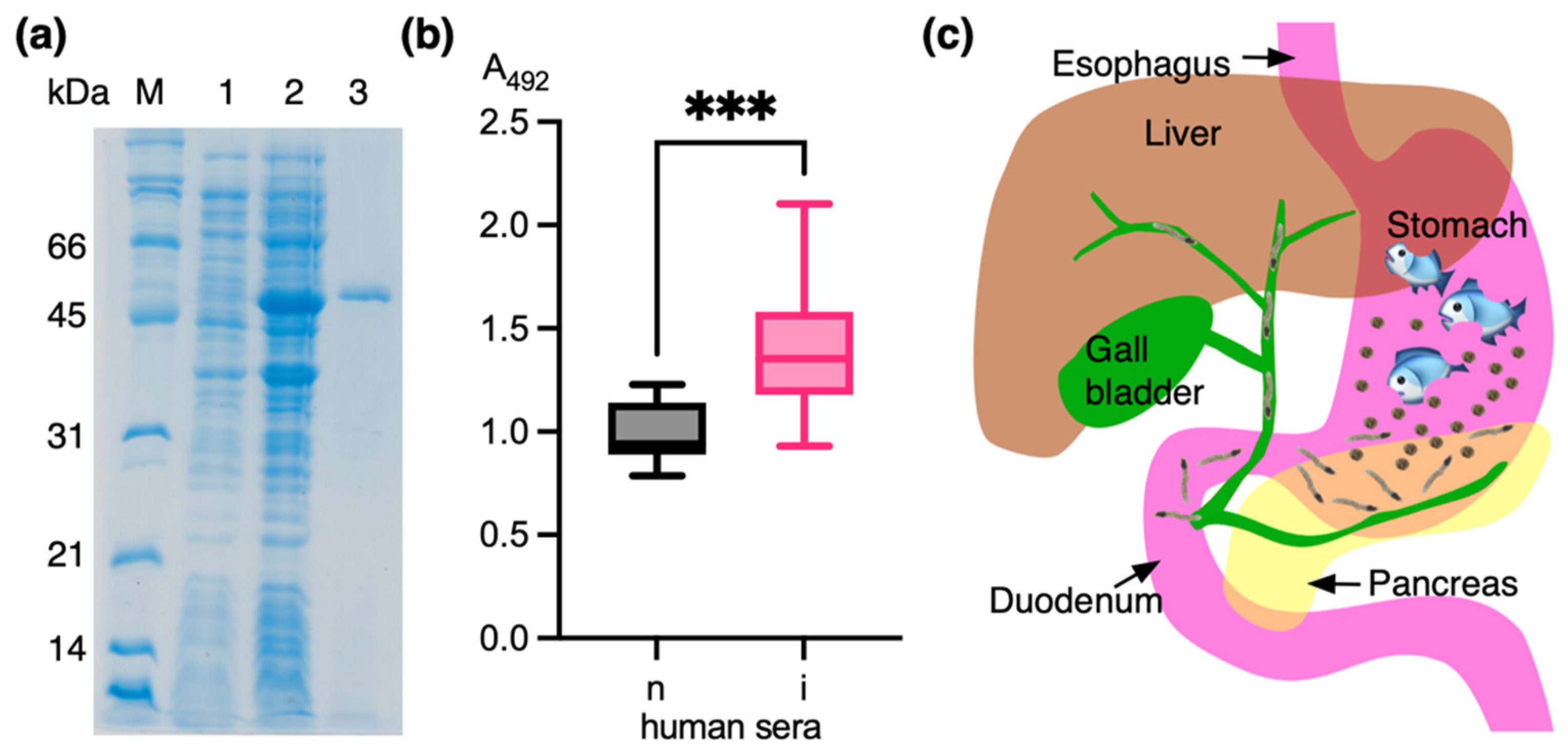 Pathogens 13 00678 g005