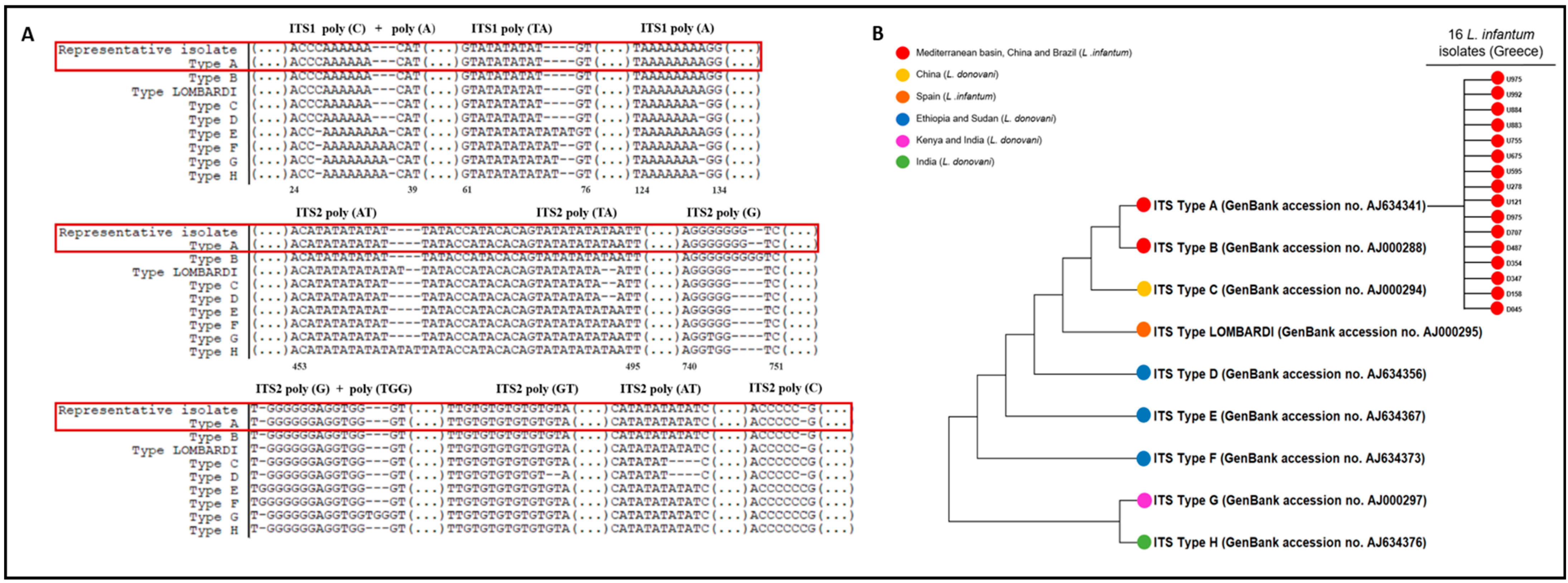 Pathogens 13 00688 g002 Pathogens 13 00688 g002
