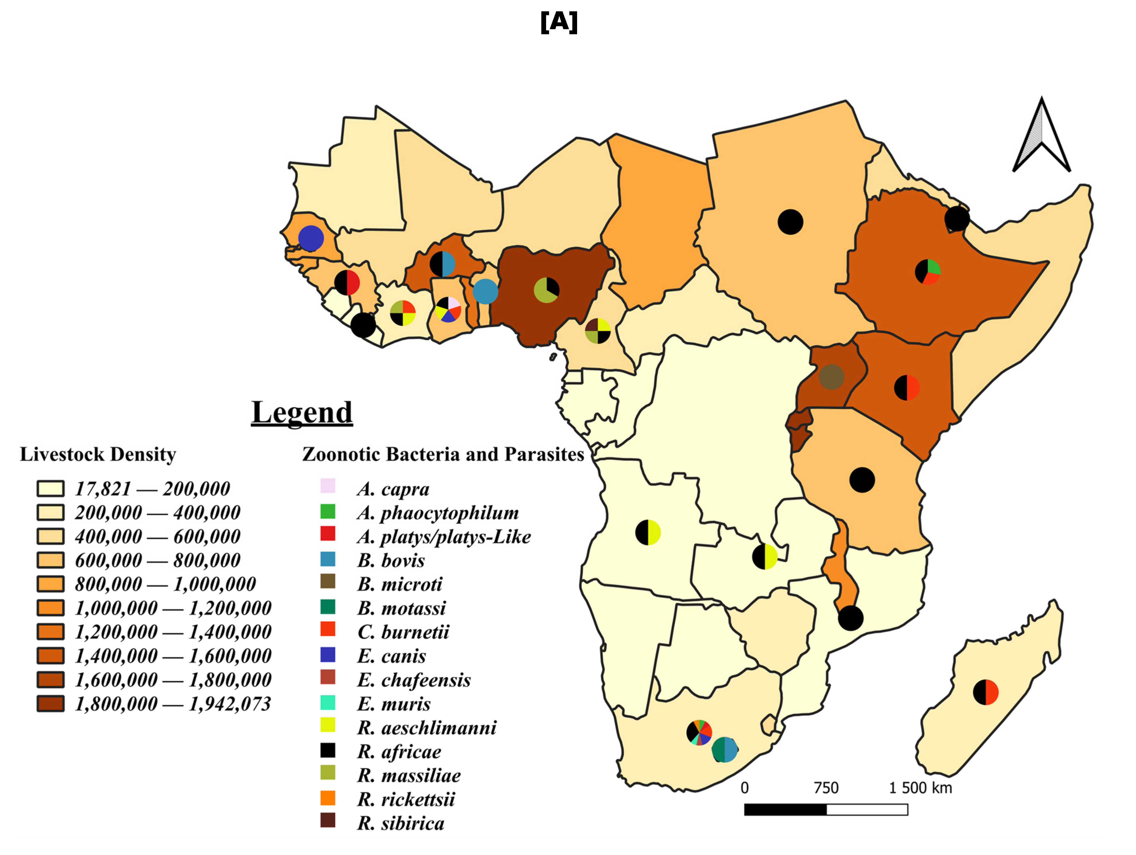 Pathogens 13 00697 g008a