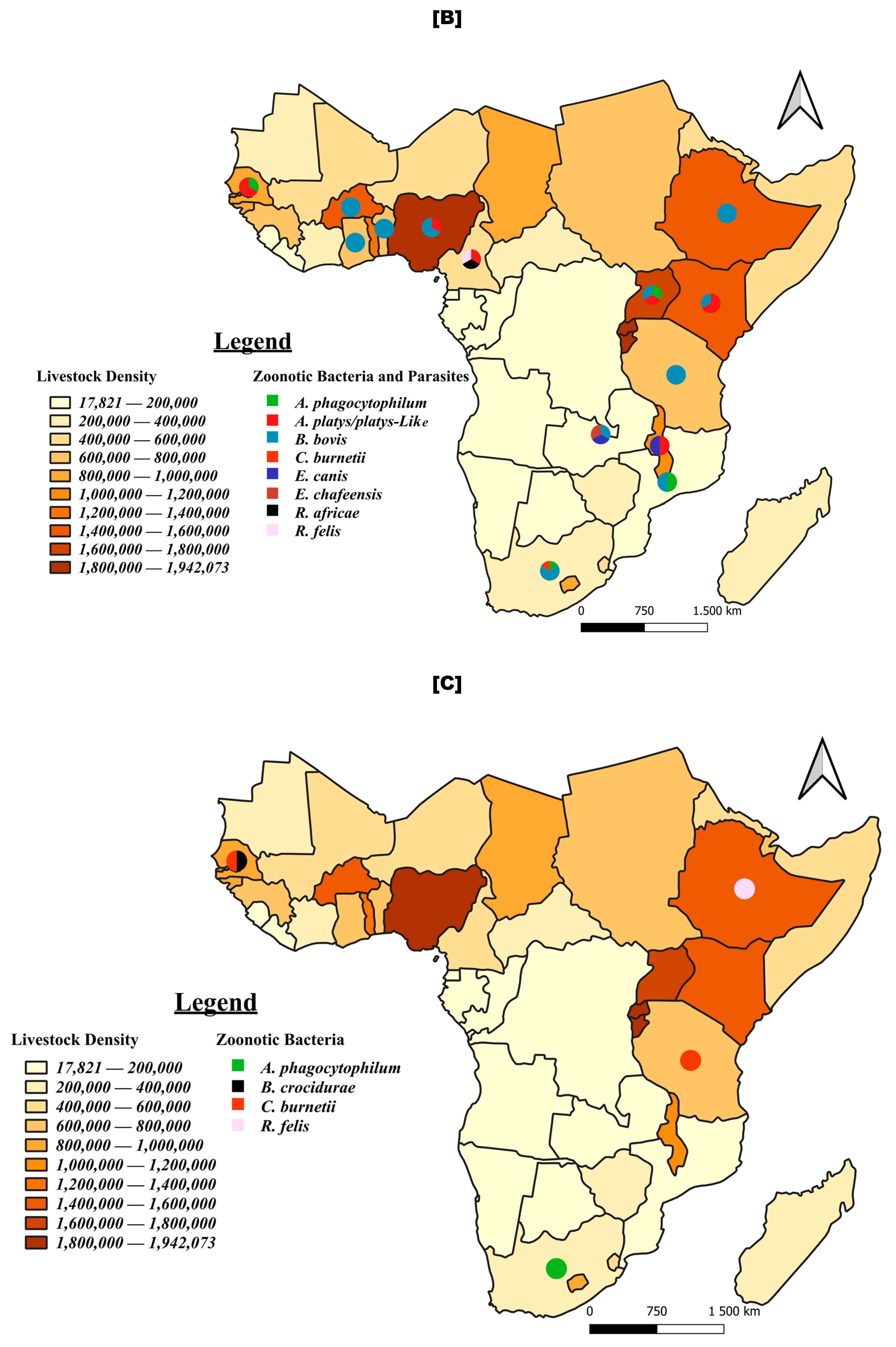 Pathogens 13 00697 g008b