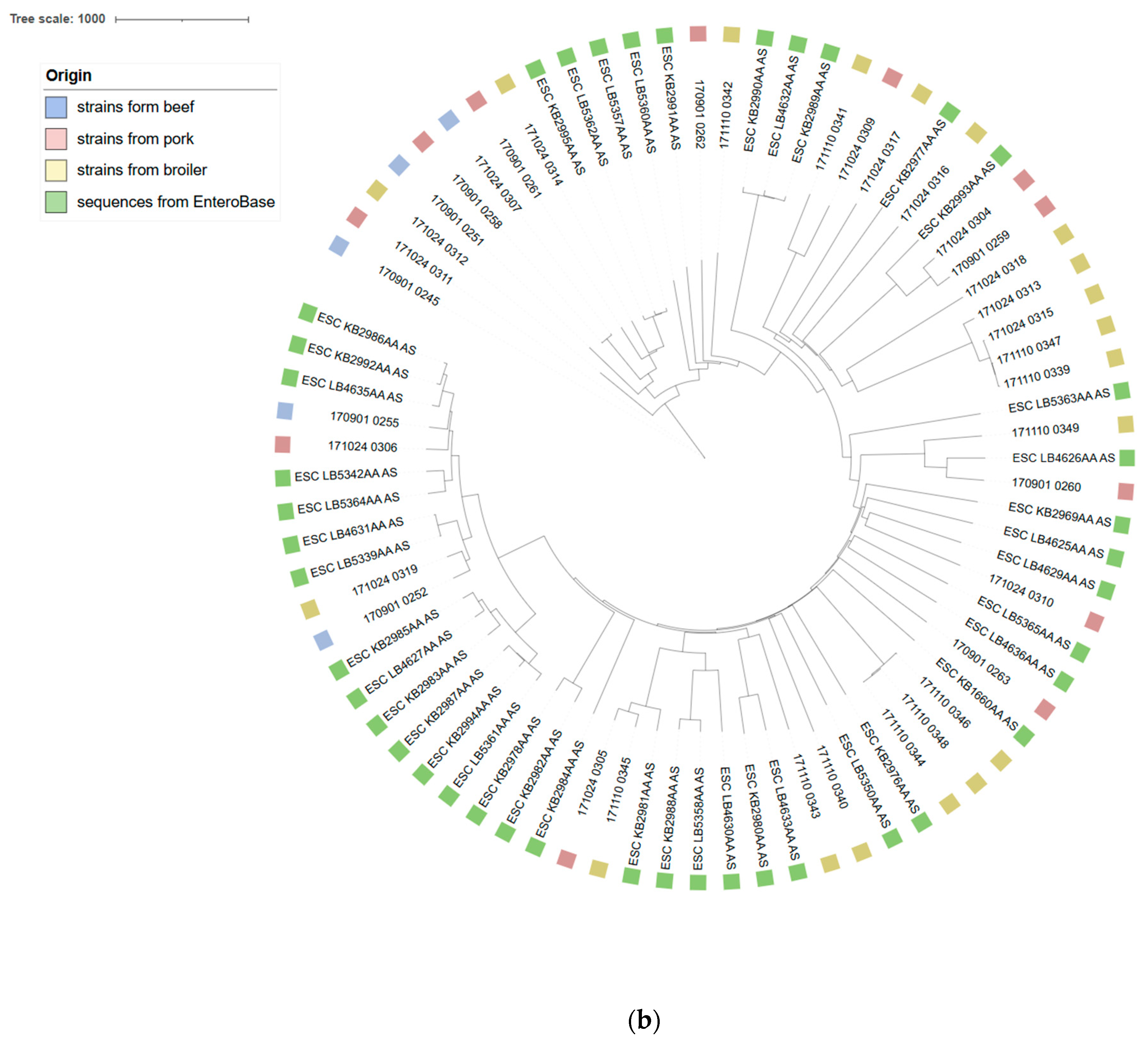 Pathogens 13 00700 g001b Pathogens 13 00700 g001b