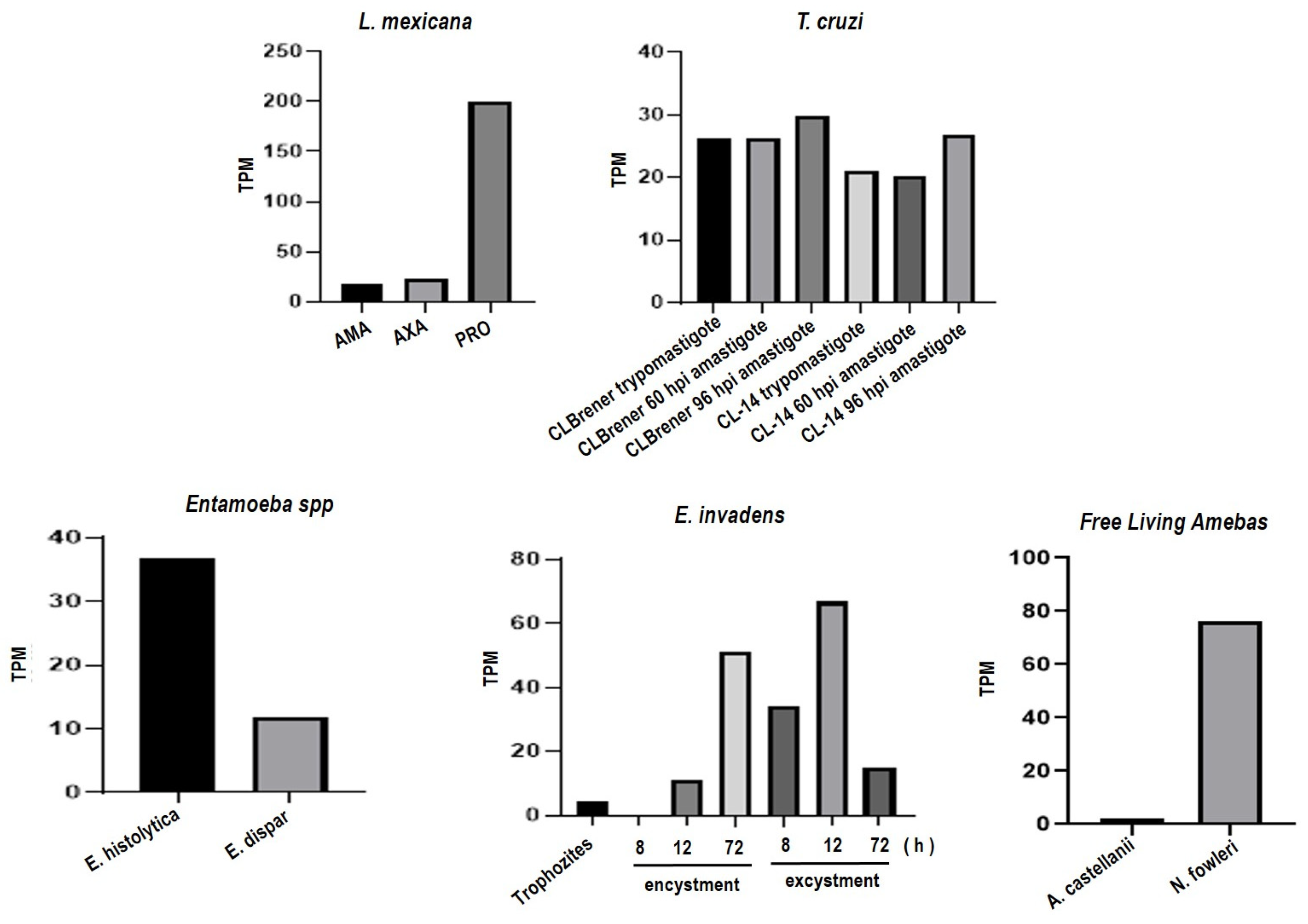 Pathogens 13 00718 g002