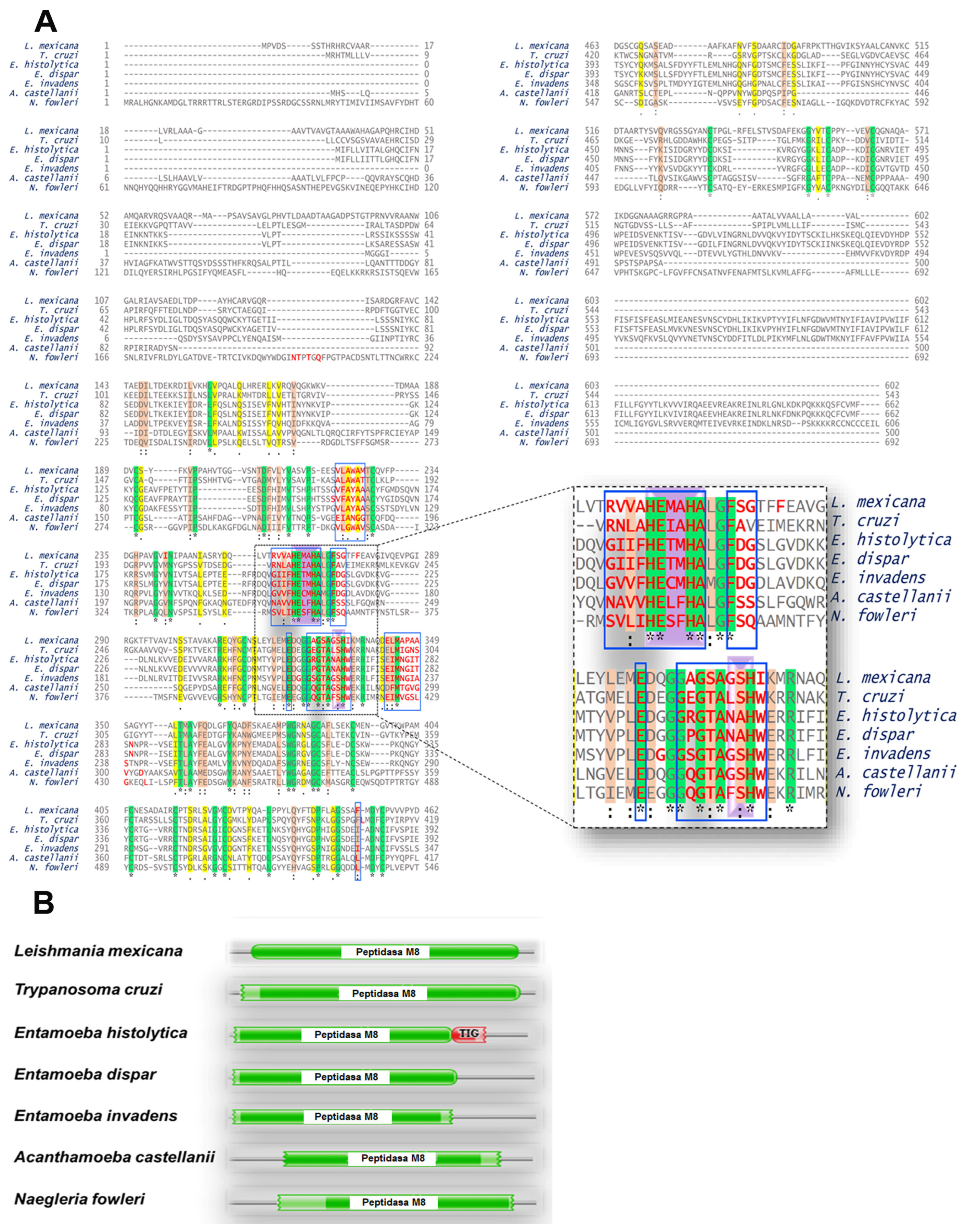 Pathogens 13 00718 g003