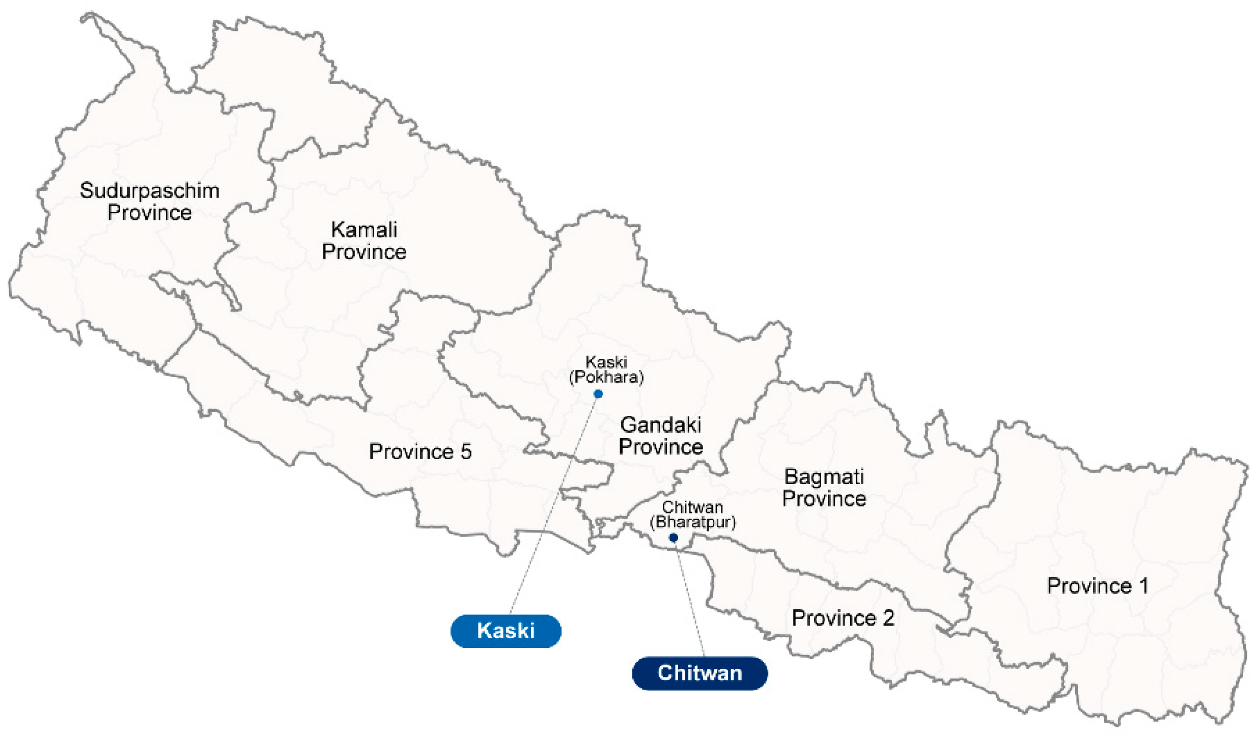 Pathogens 13 00736 g001