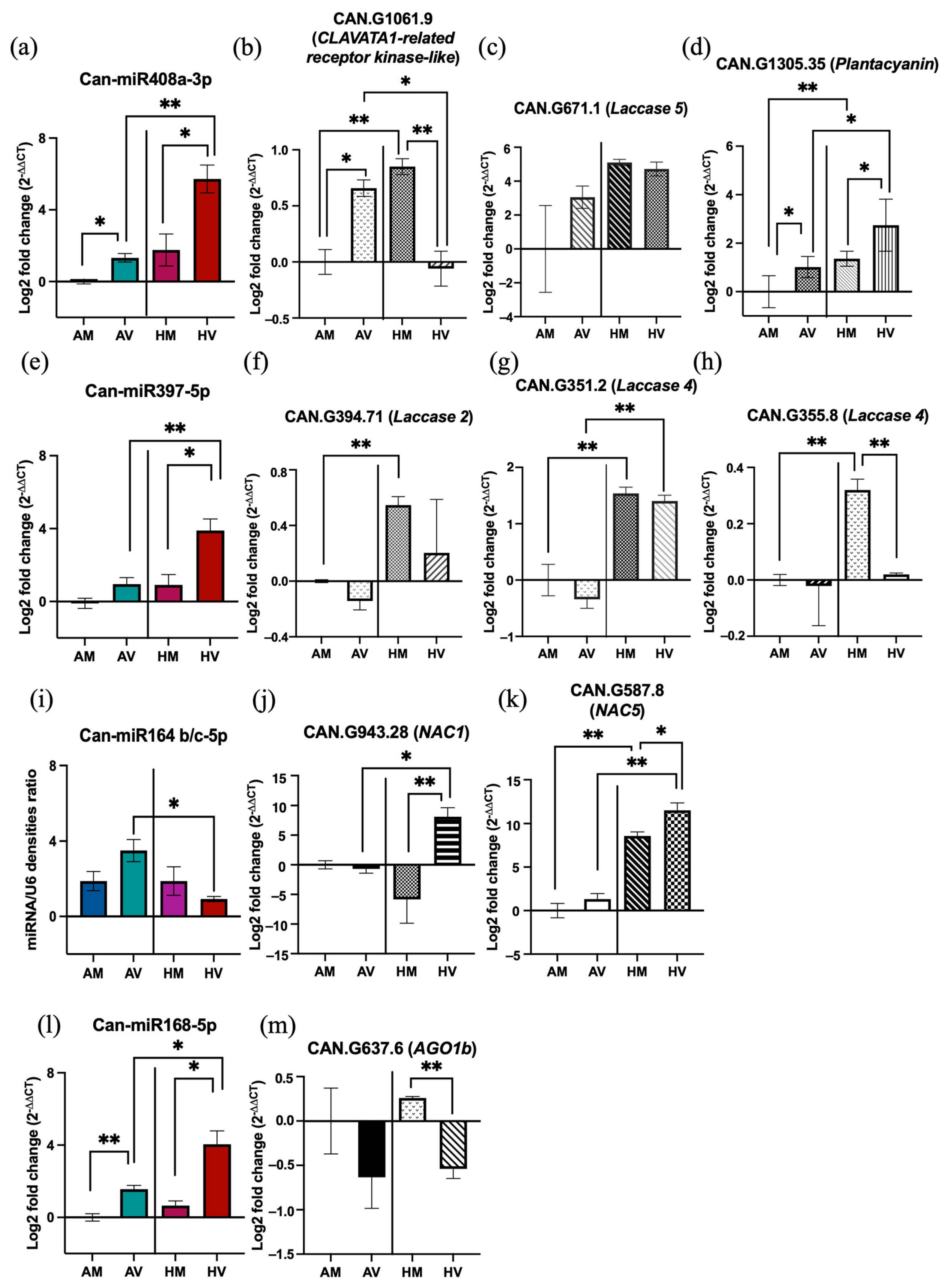Pathogens 13 00745 g008