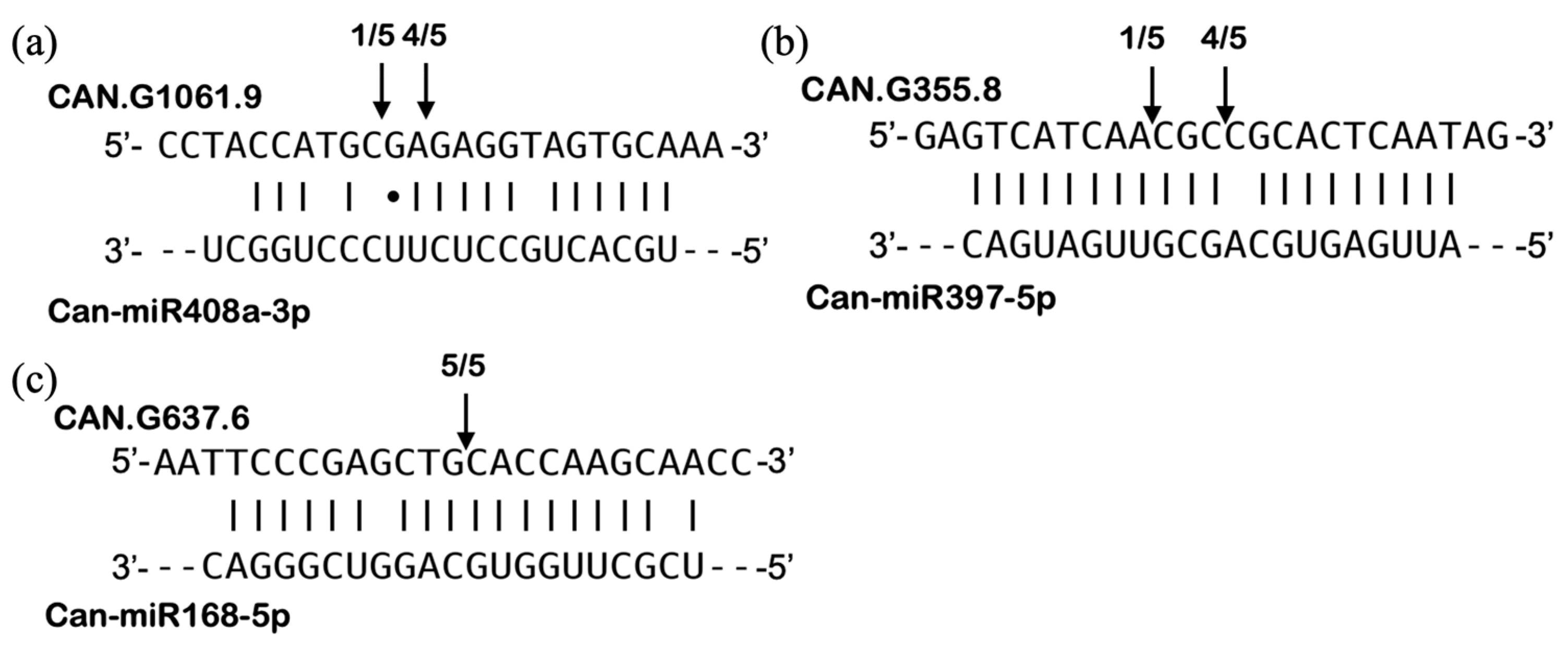 Pathogens 13 00745 g009