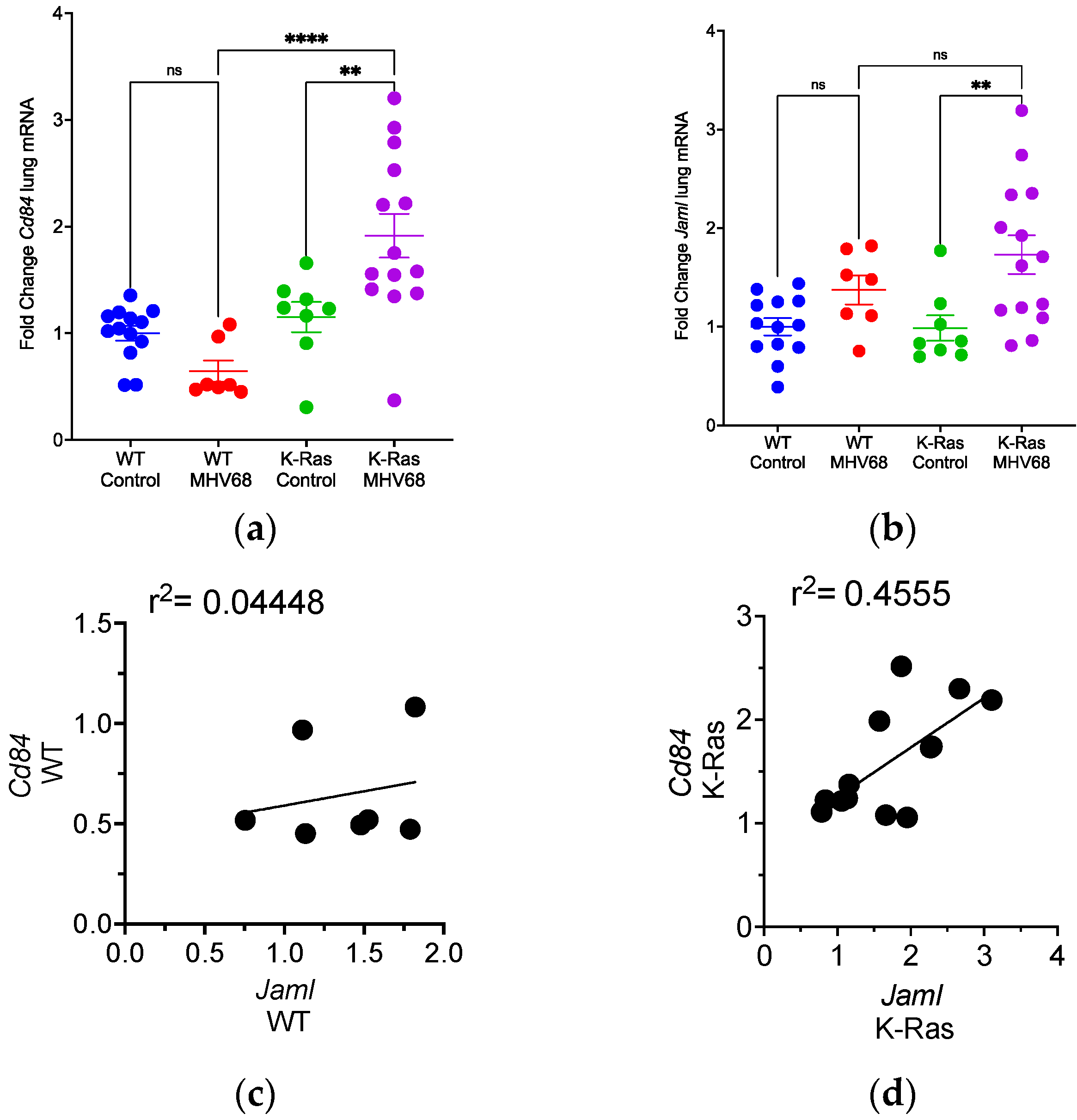 Pathogens 13 00747 g004