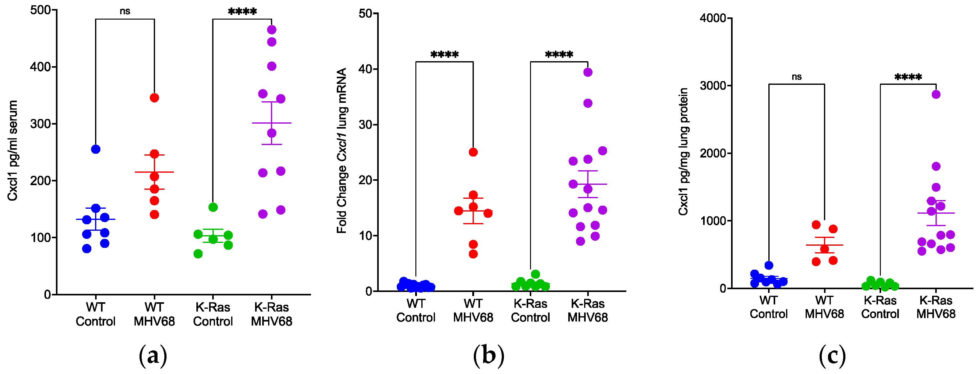 Pathogens 13 00747 g005
