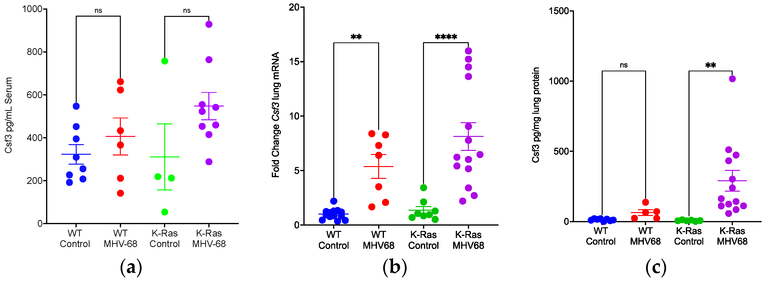 Pathogens 13 00747 g006