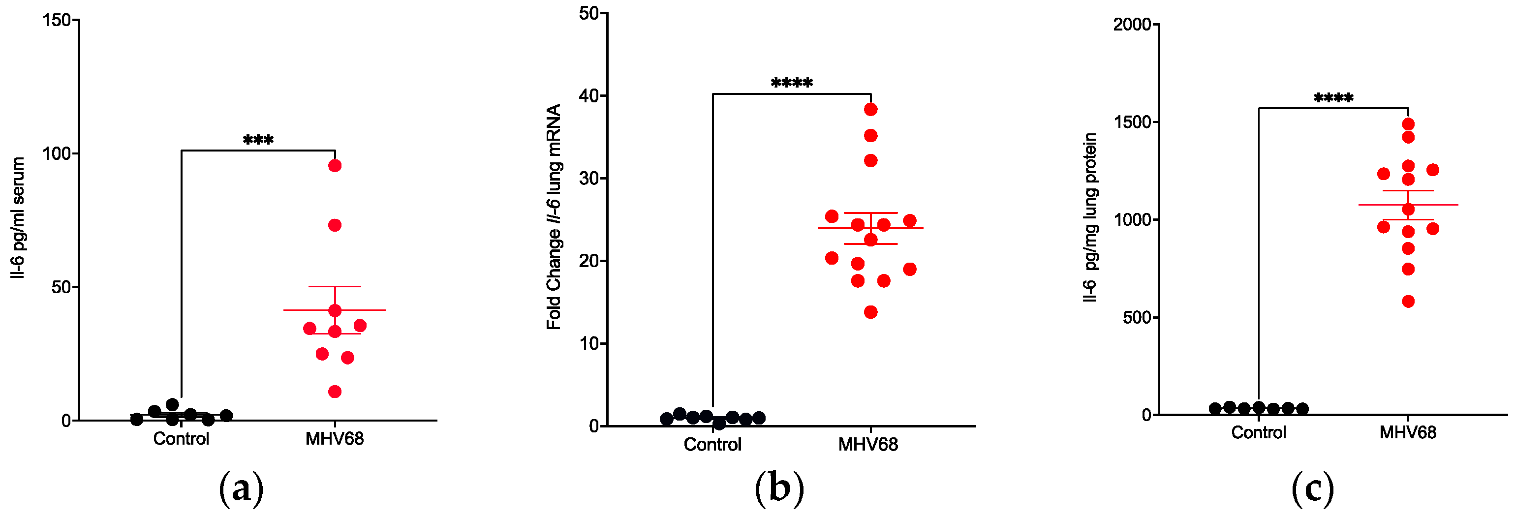 Pathogens 13 00747 g007