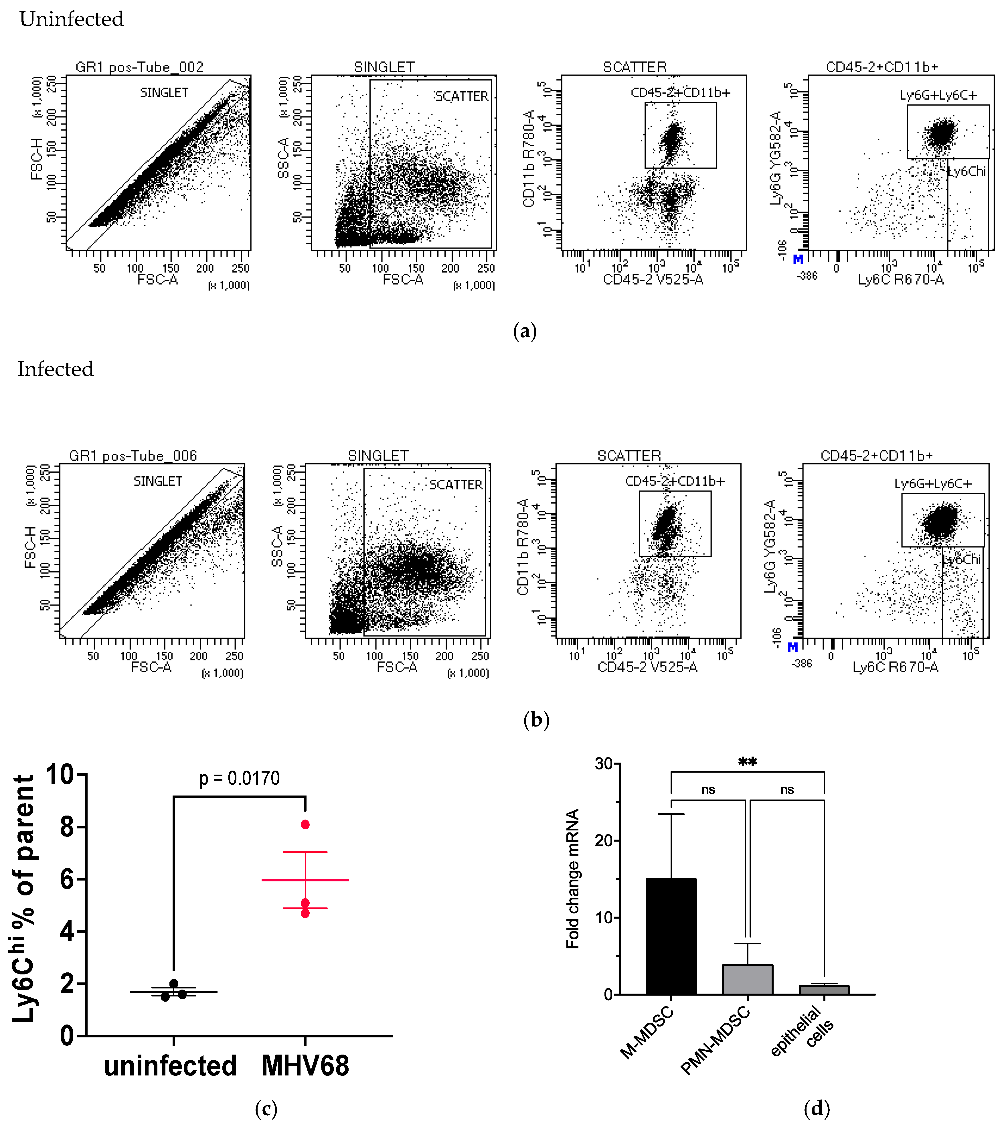 Pathogens 13 00747 g009