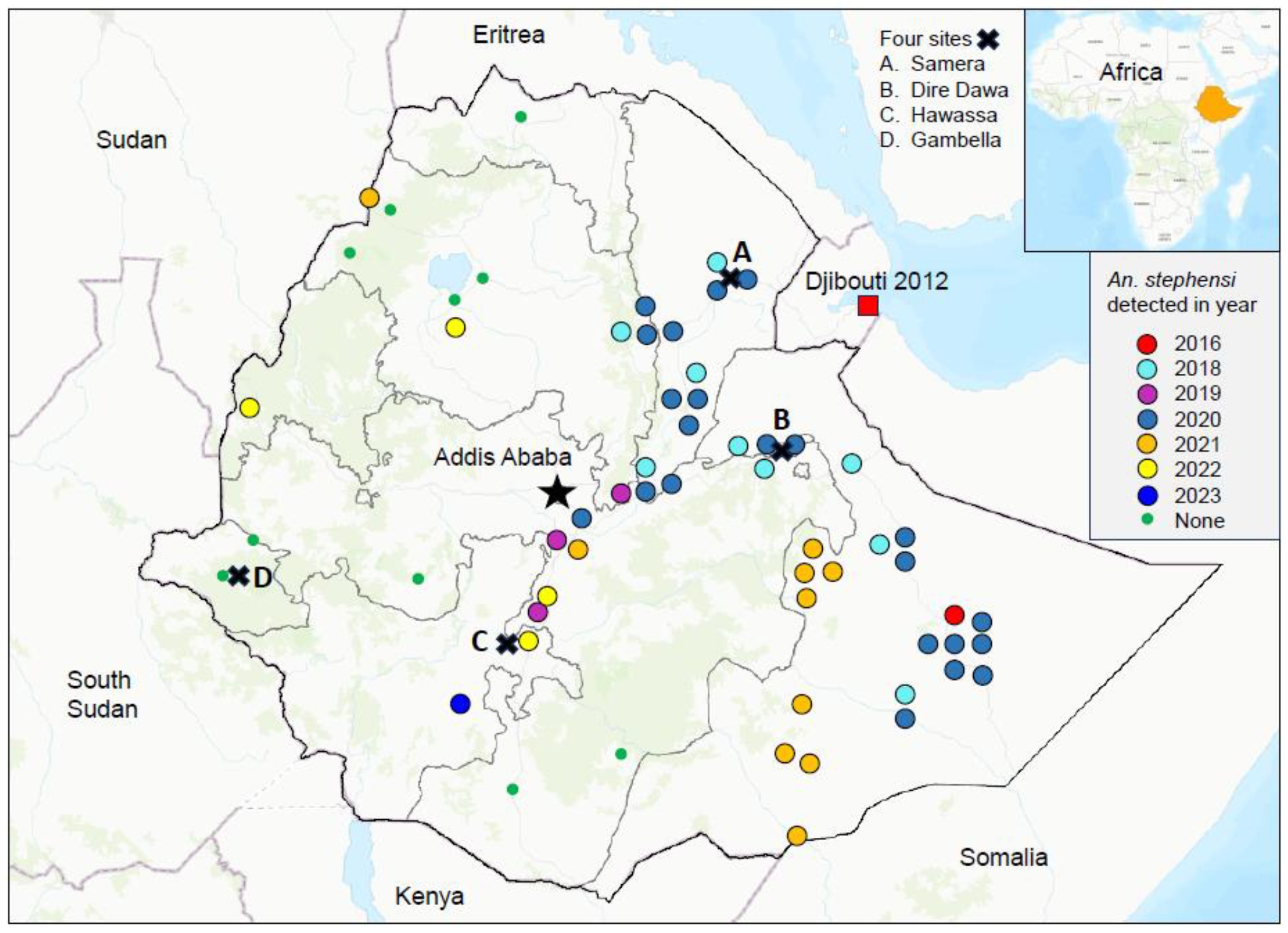 Pathogens 13 00748 g001