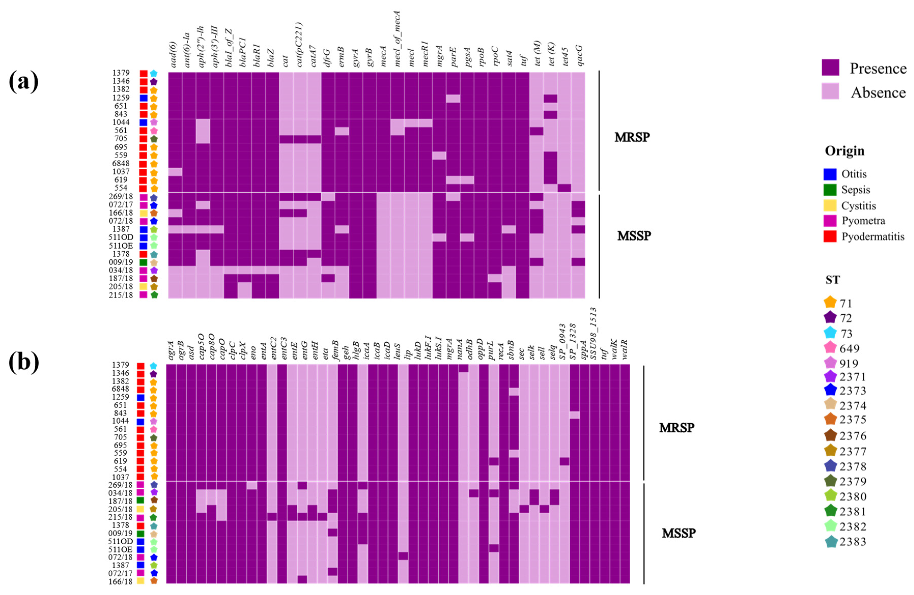 Pathogens 13 00760 g002 Pathogens 13 00760 g002