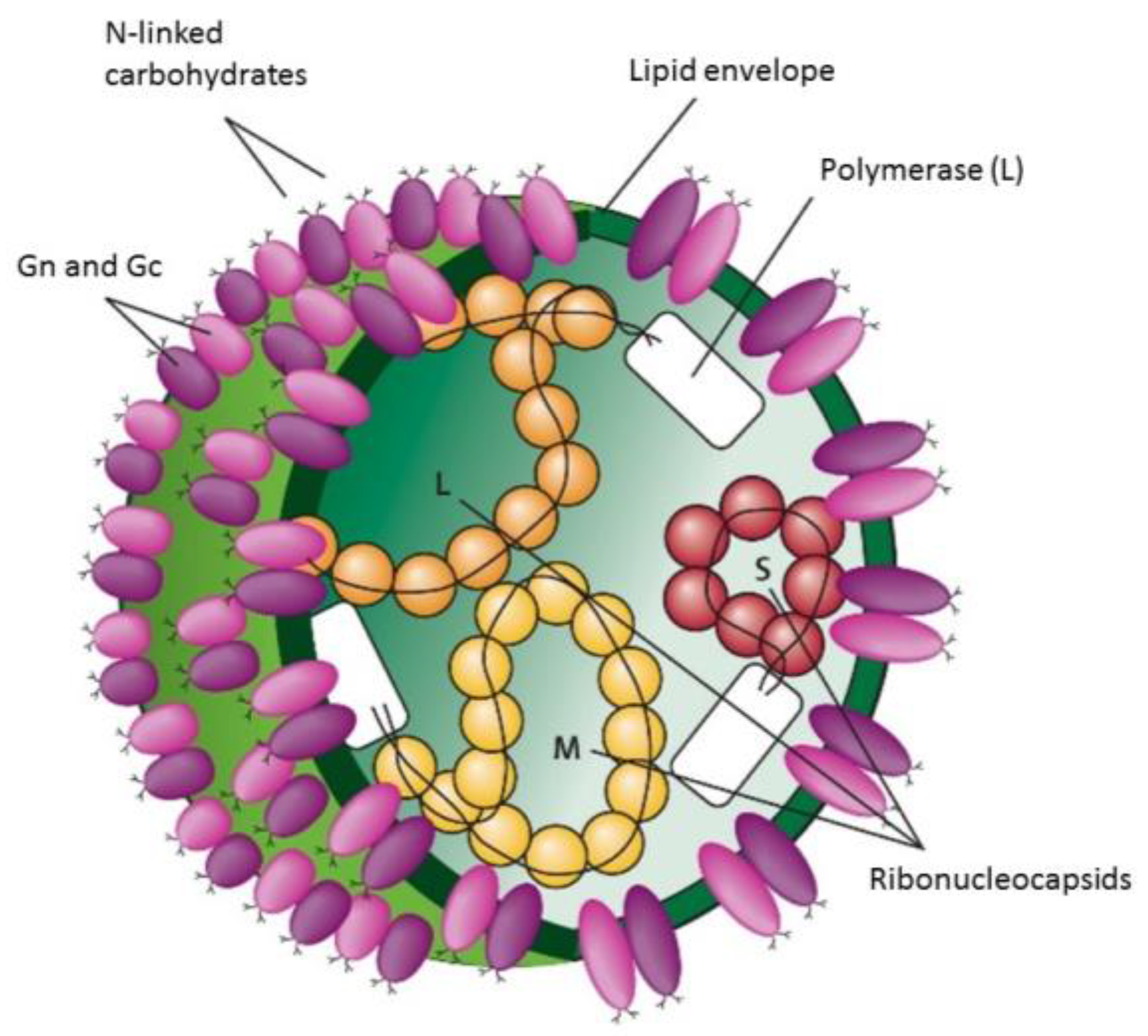 Pathogens 13 00770 g002 Pathogens 13 00770 g002