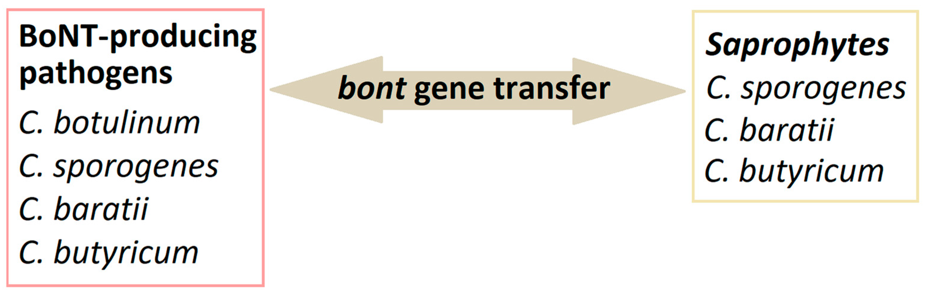 Pathogens 13 00780 g001