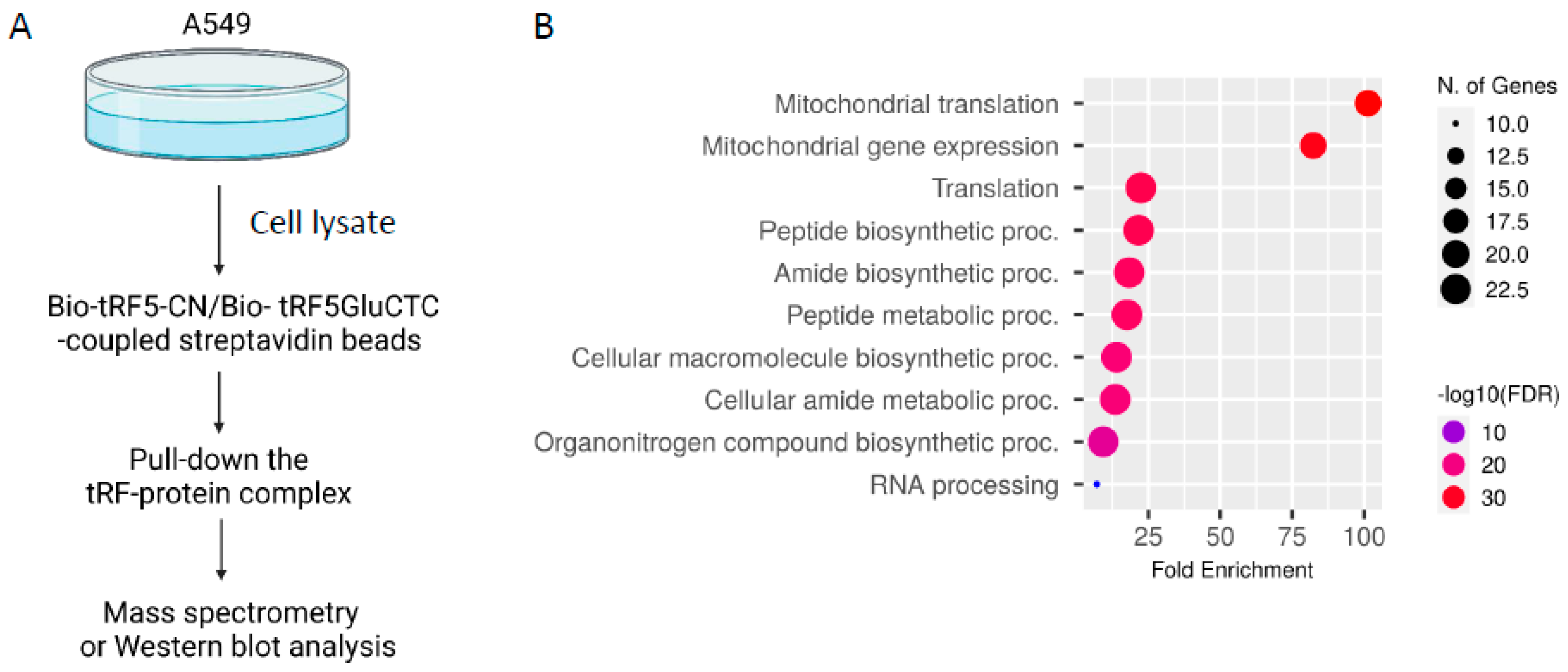 Pathogens 13 00791 g001