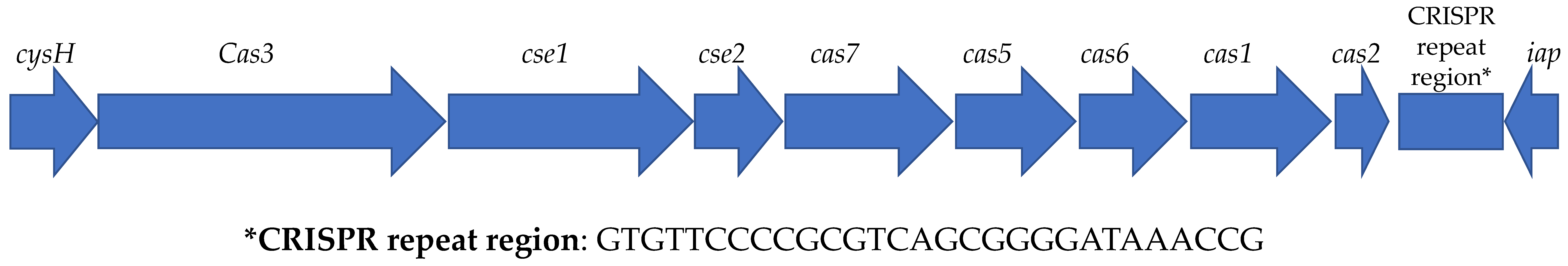 Pathogens 13 00794 g004 Pathogens 13 00794 g004