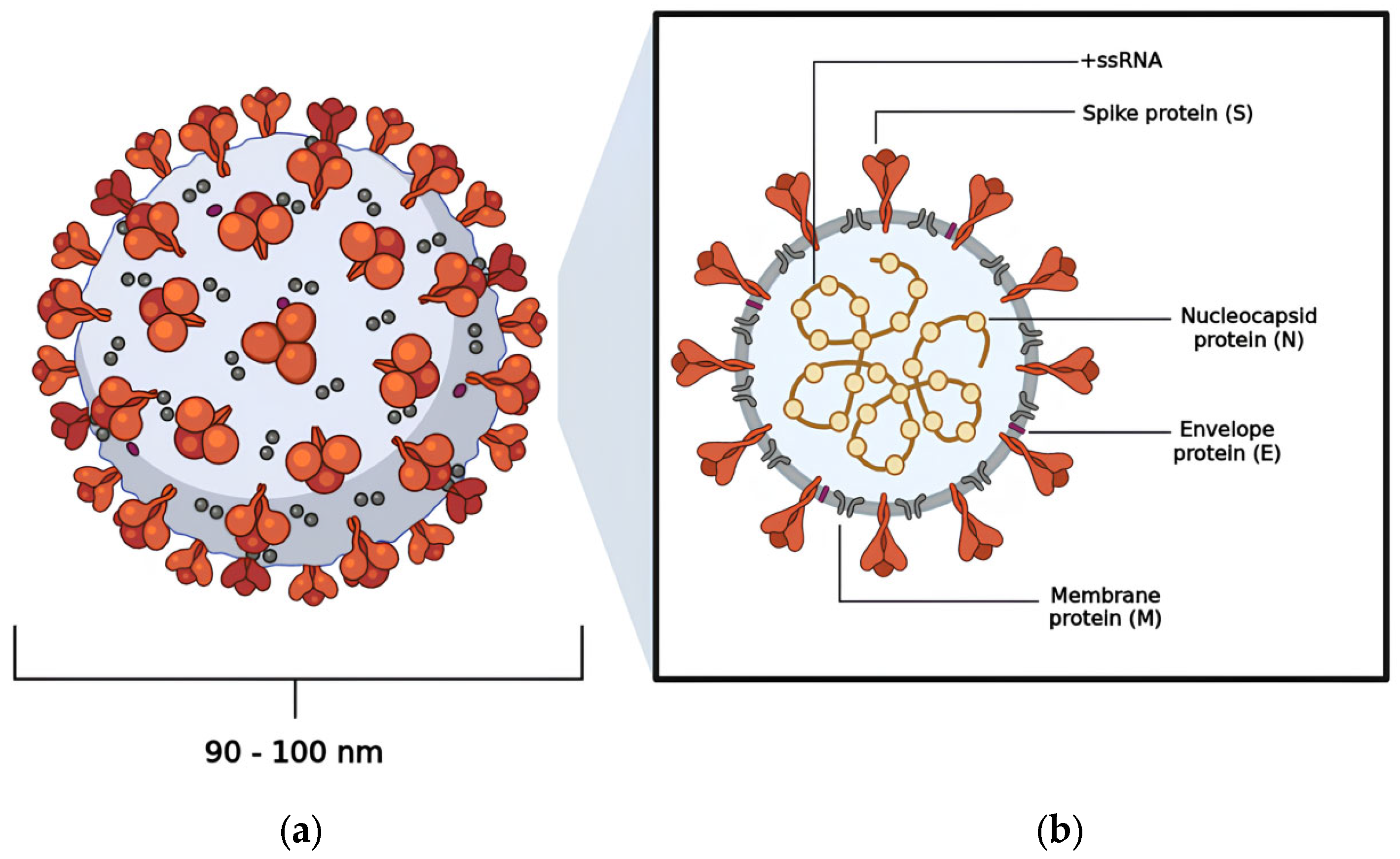 Pathogens 13 00825 g001