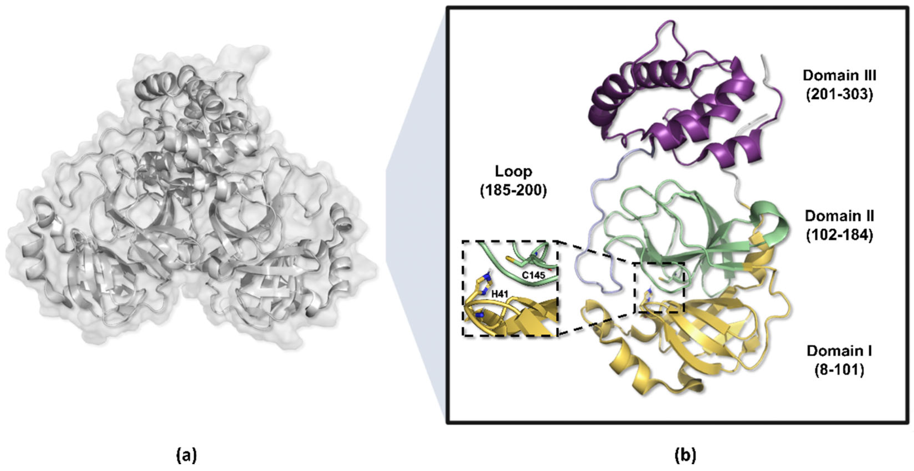 Pathogens 13 00825 g004