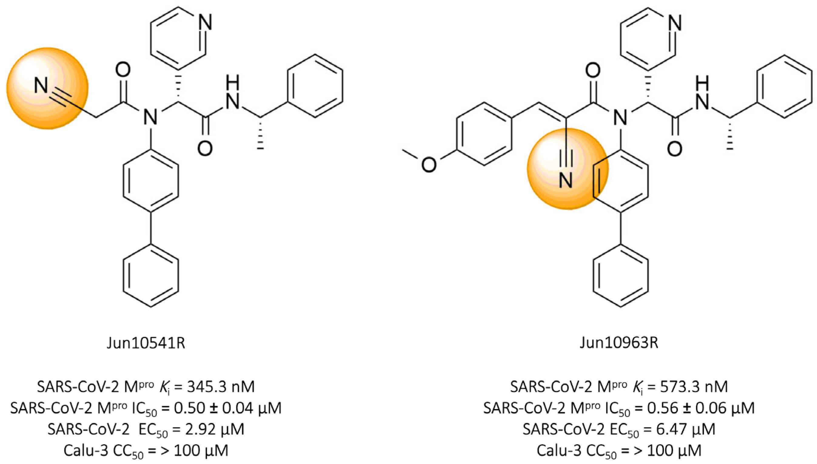Pathogens 13 00825 g012