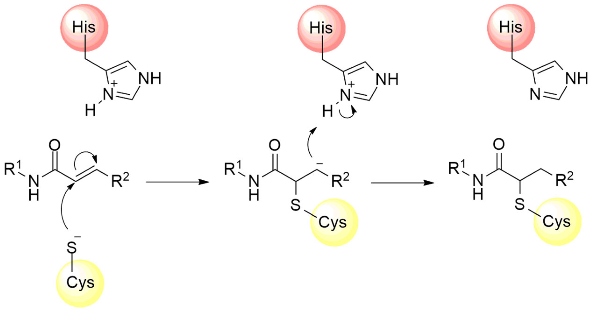 Pathogens 13 00825 g013