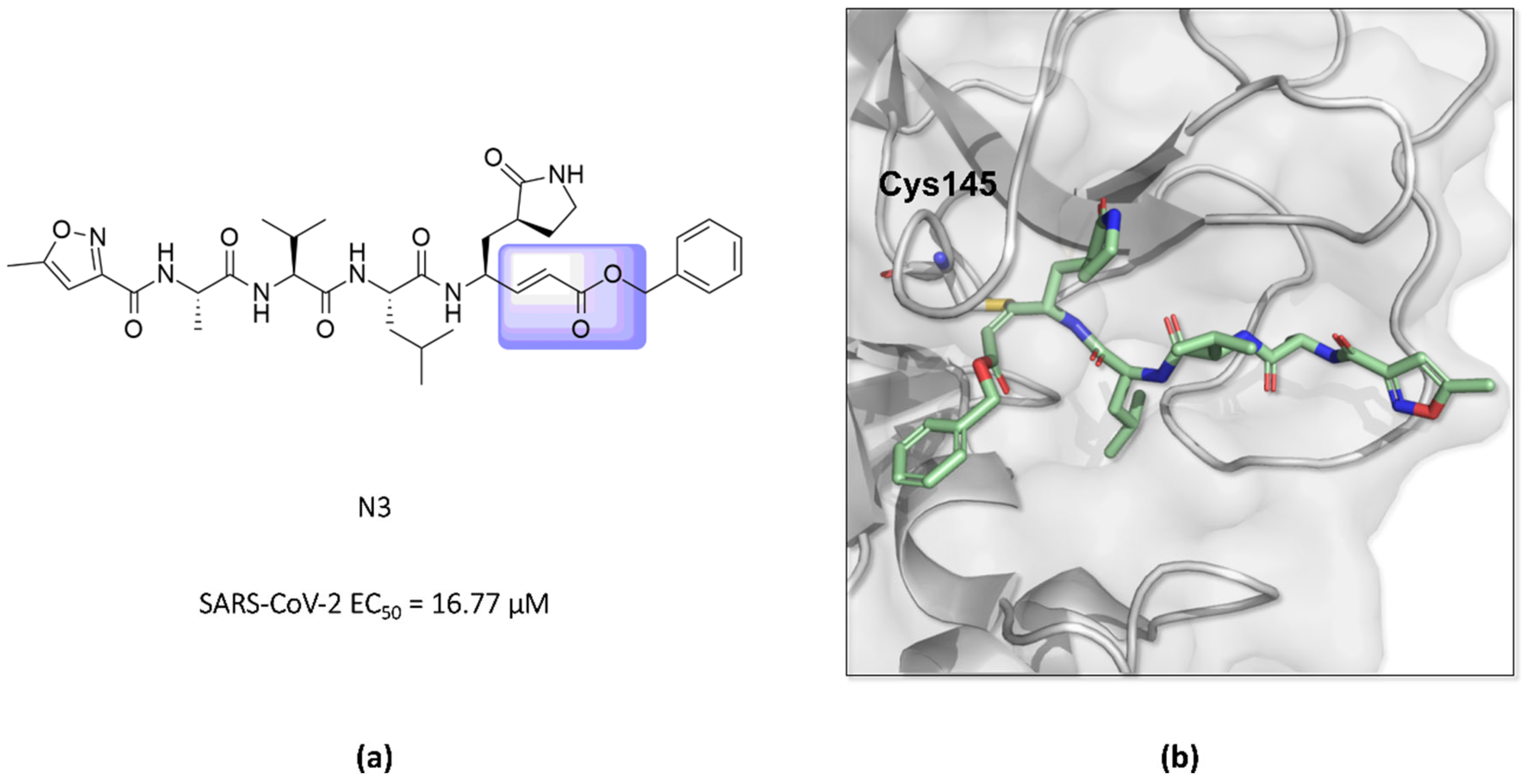 Pathogens 13 00825 g014