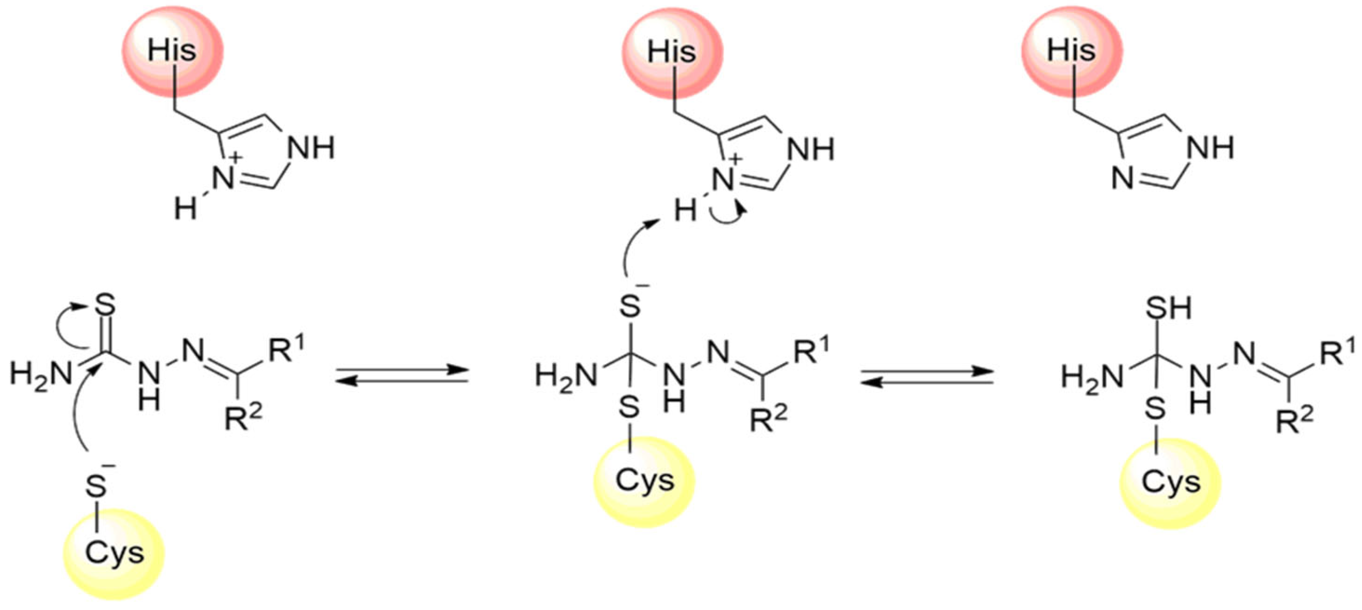 Pathogens 13 00825 g018