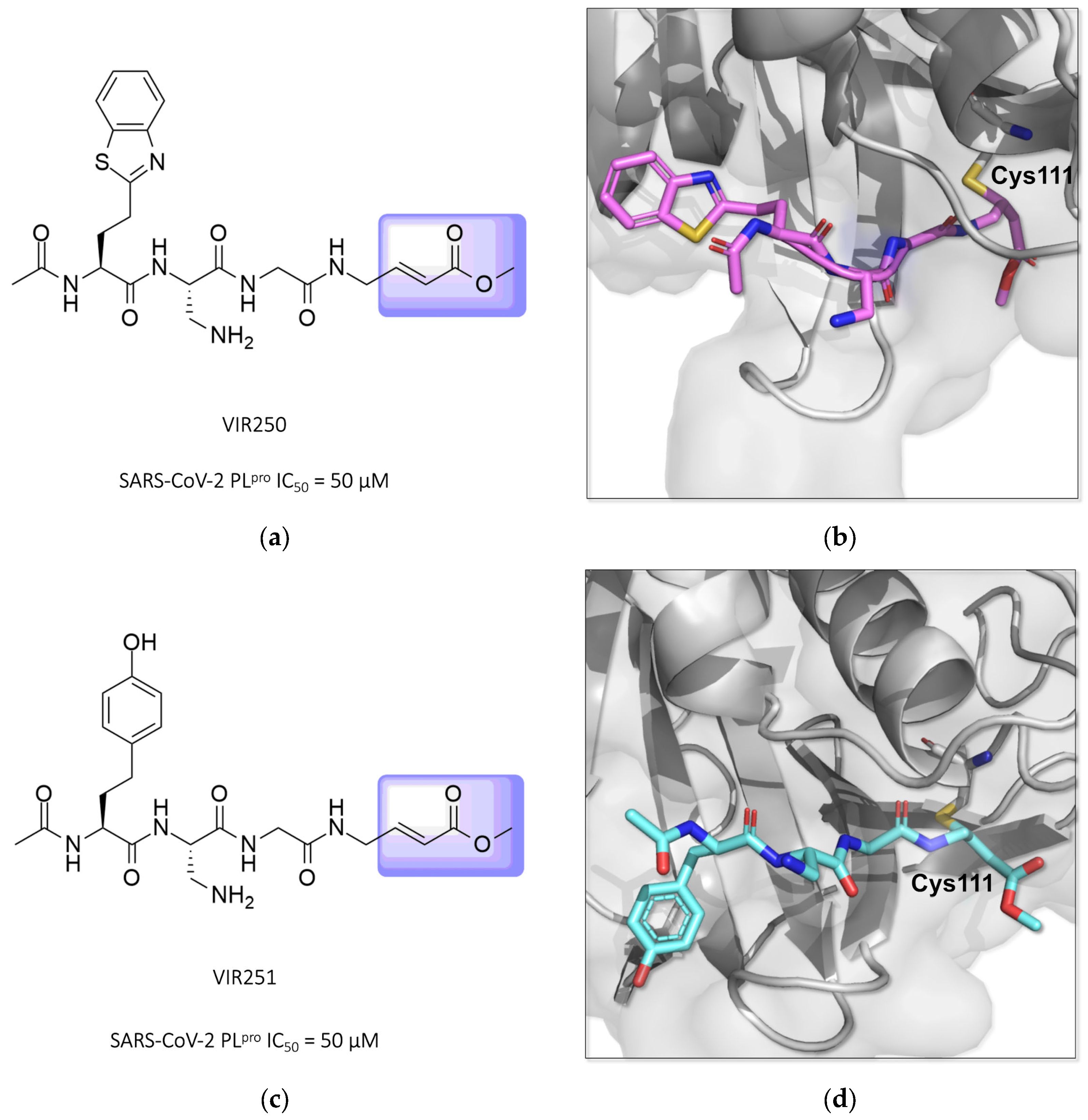 Pathogens 13 00825 g020