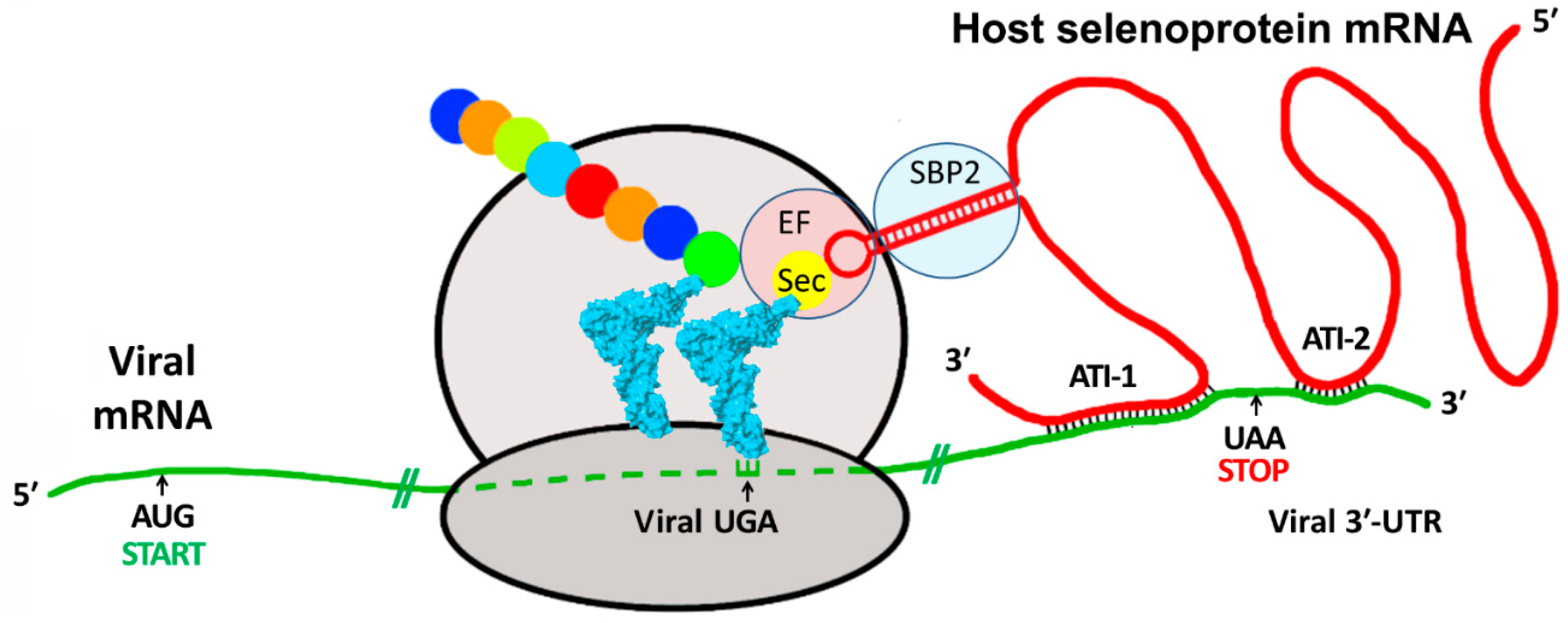 Pathogens 13 00829 g001 Pathogens 13 00829 g001