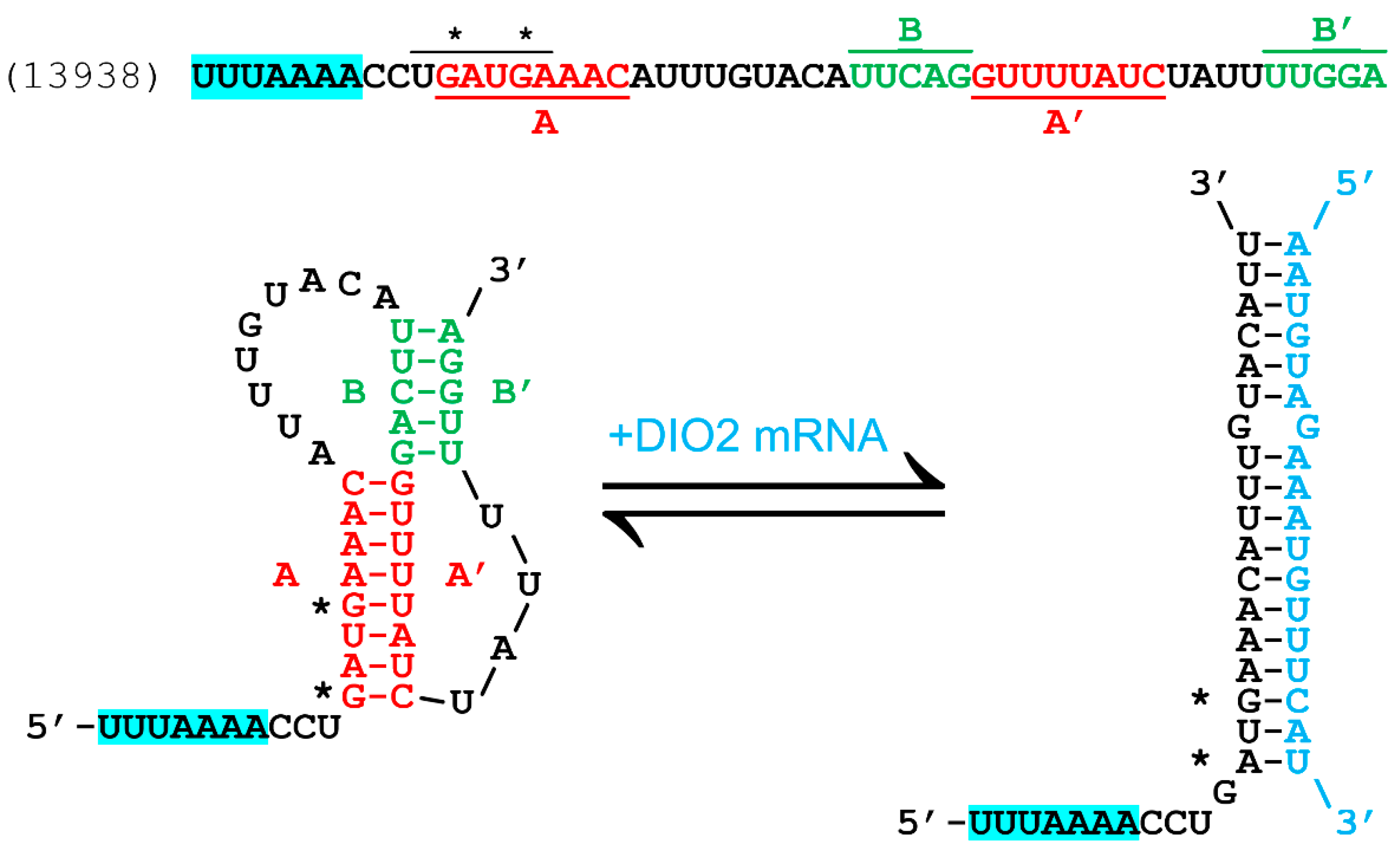Pathogens 13 00829 g002 Pathogens 13 00829 g002