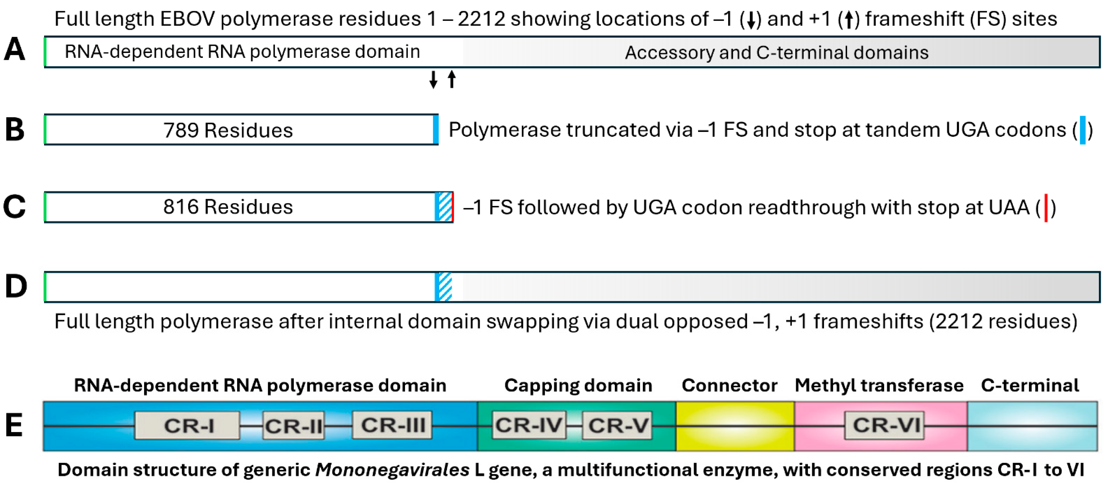 Pathogens 13 00829 g008 Pathogens 13 00829 g008